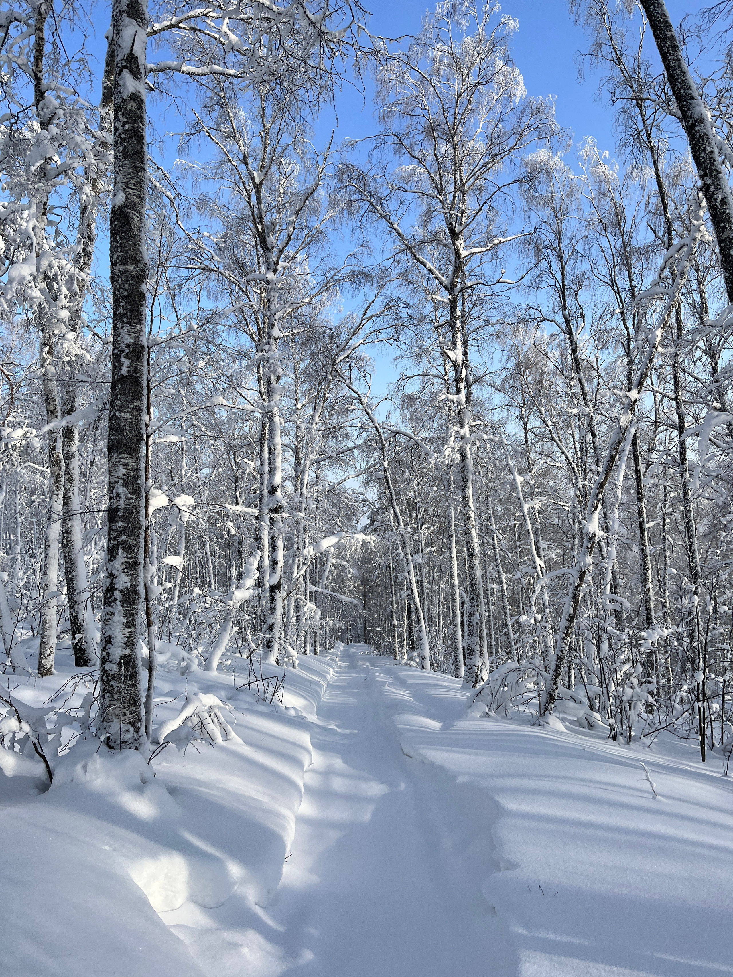 Горнолыжный тур в ГК Завьялиха из Уфы — Время Приключений