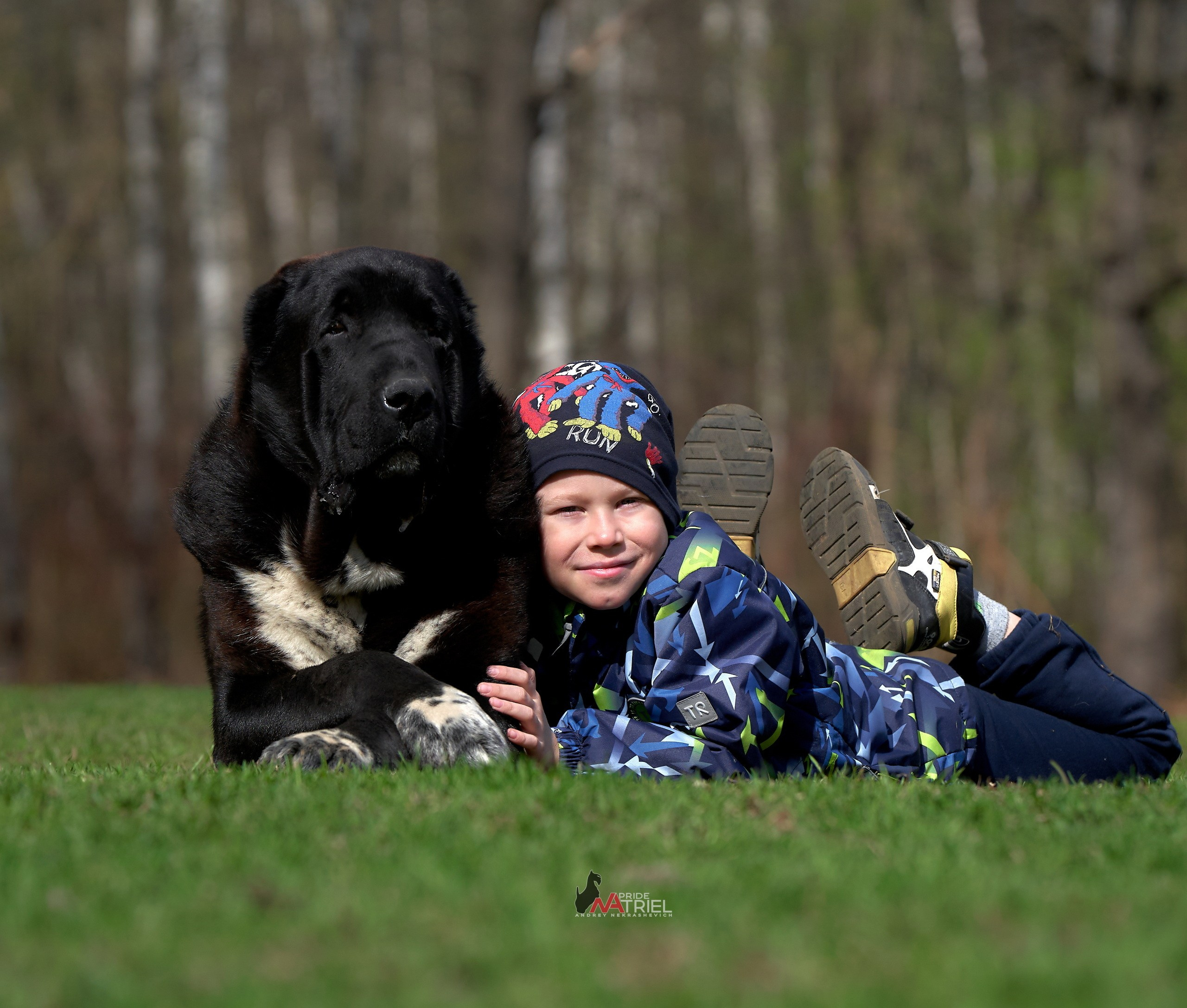 Собаки и Люди — галерея NATRIEL