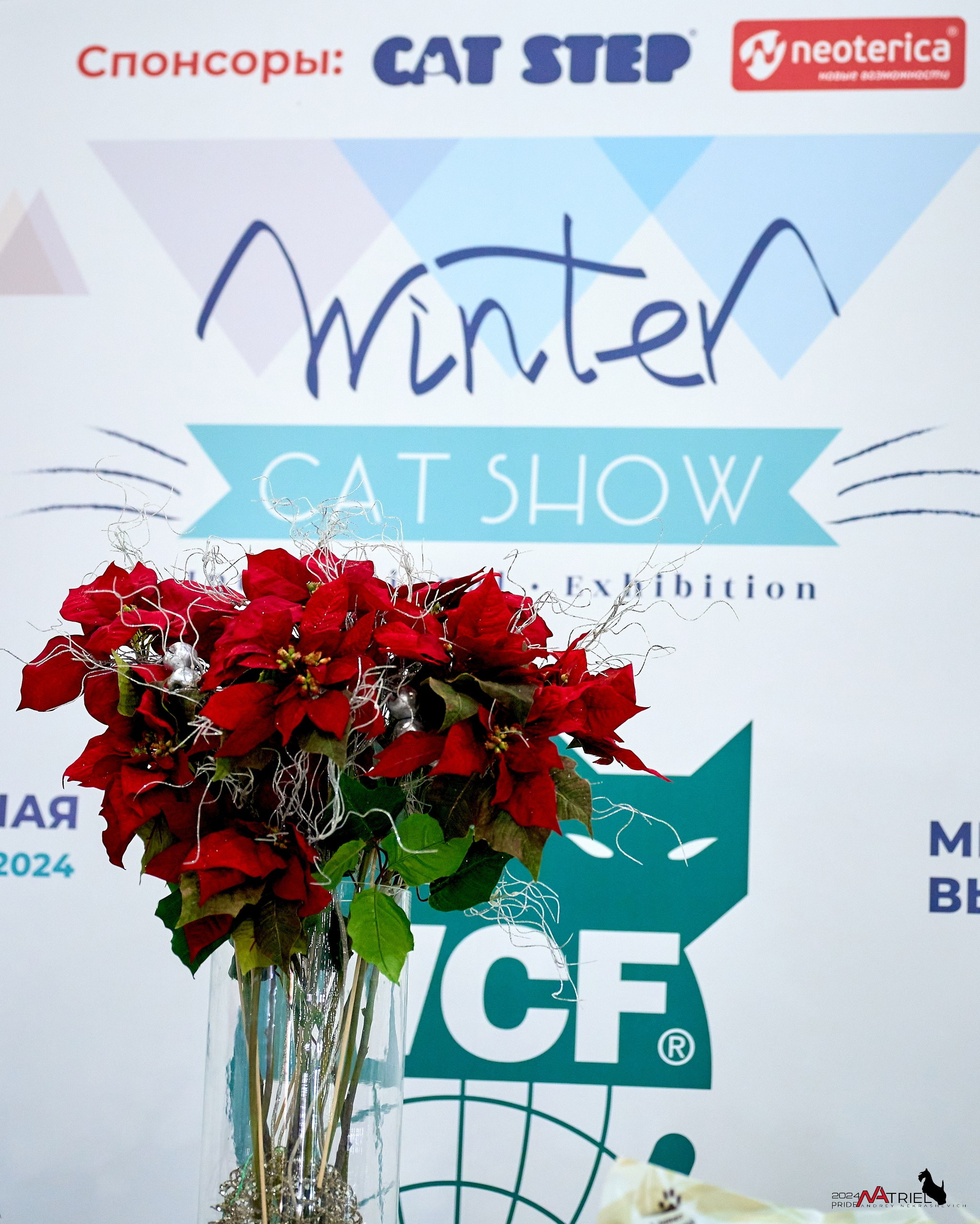 Выставки животных — галерея NATRIEL