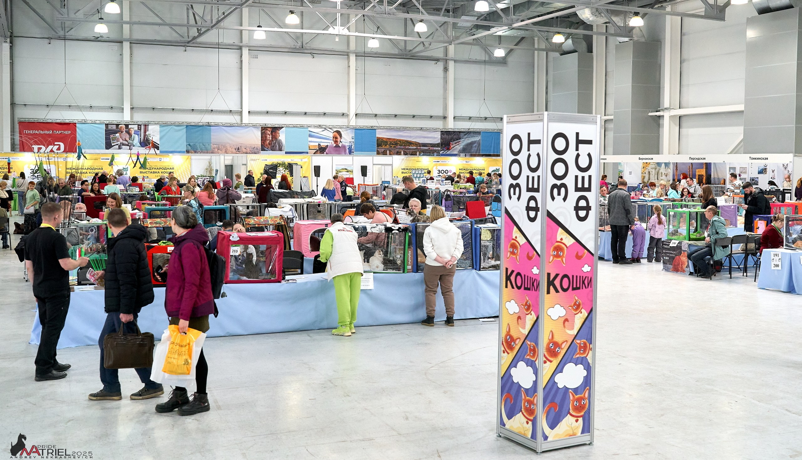 Репортаж с ЗООФЕСТ в Крокусе