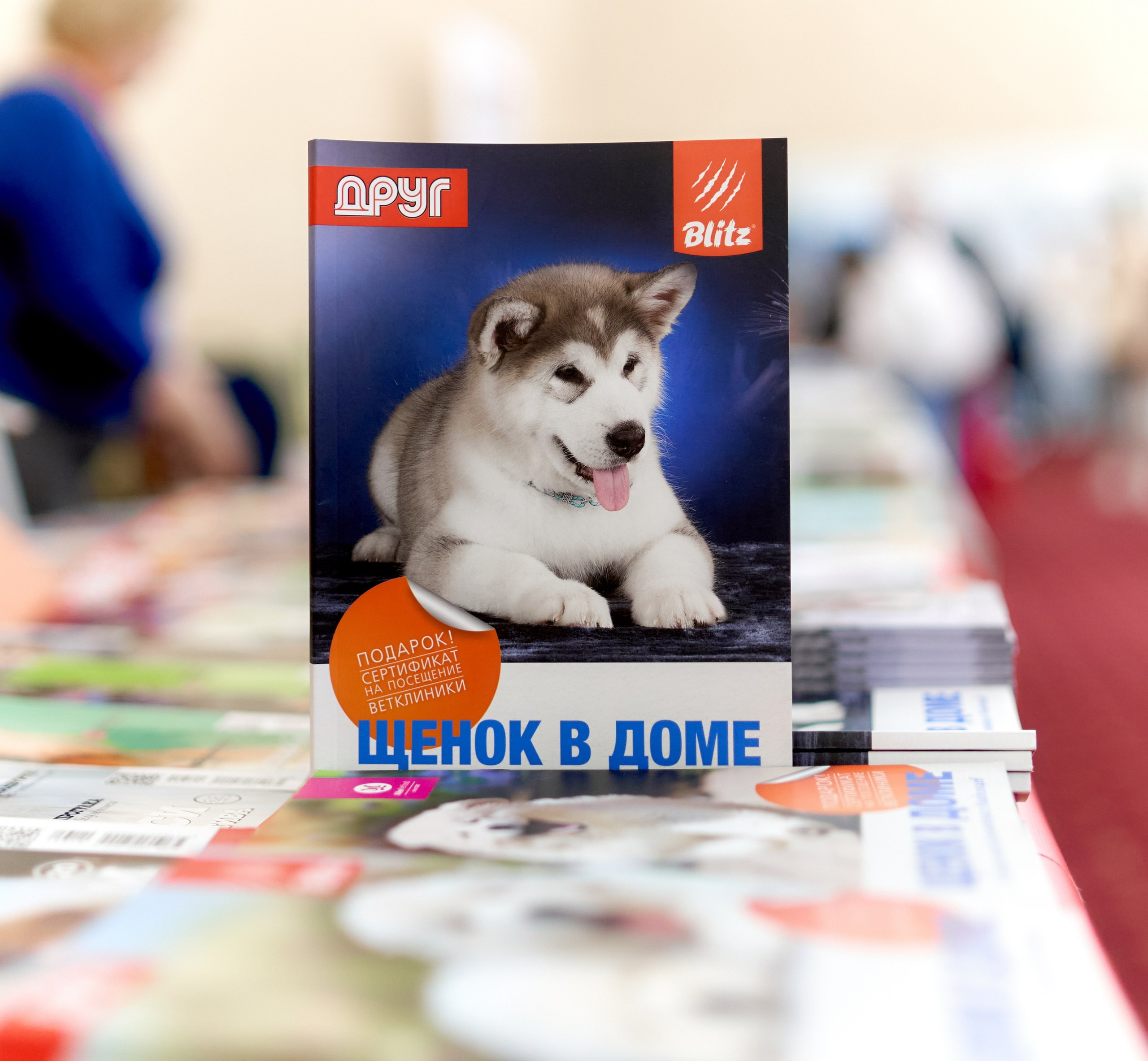 Мероприятия с собаками — галерея NATRIEL