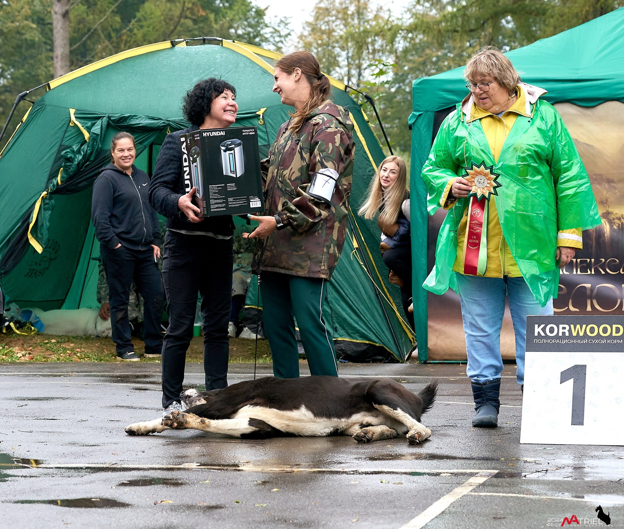 Съемка на выставке САО в Александров