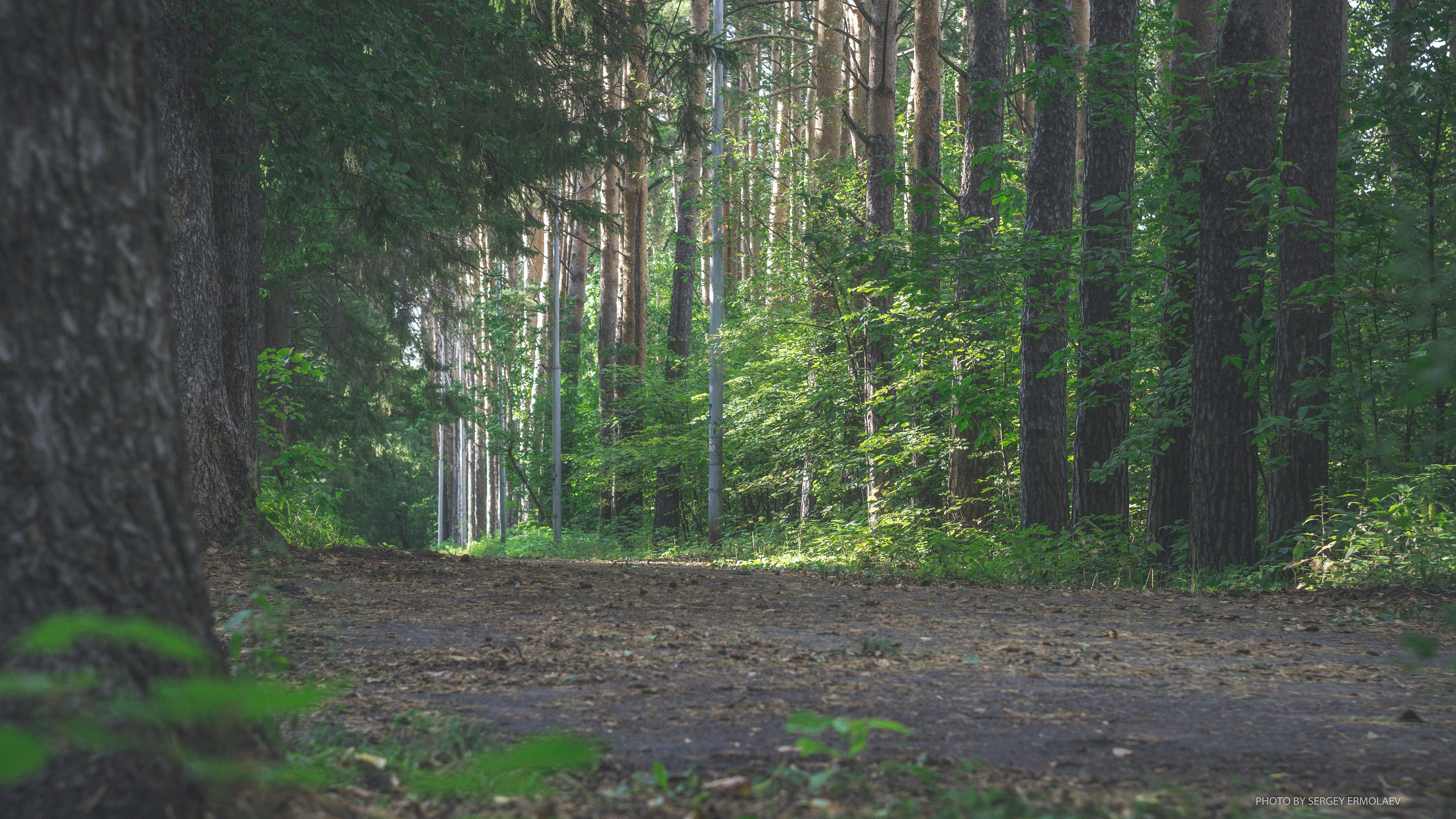 На тропах старинного парка