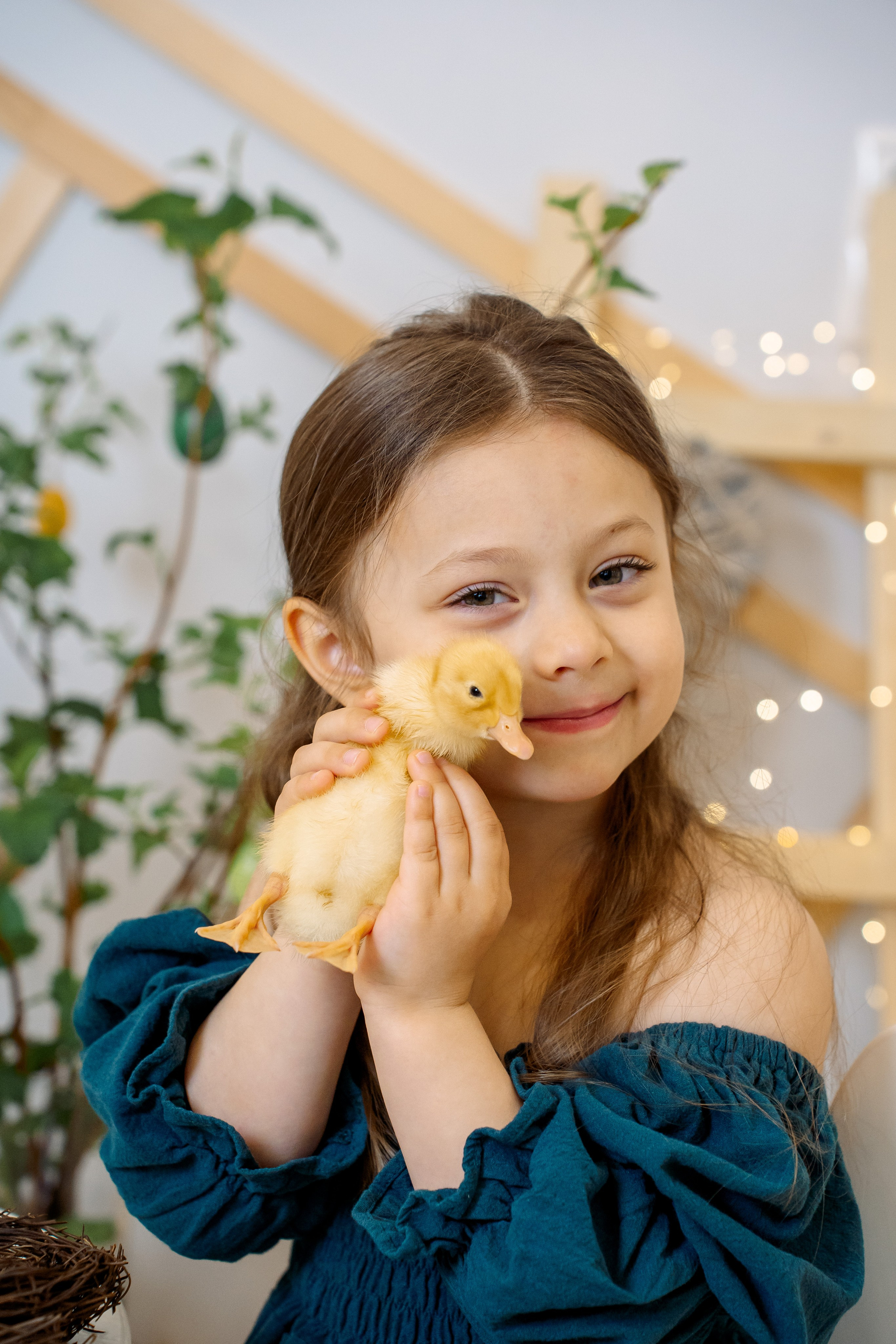 Утята. Фотограф Казакова Анастасия