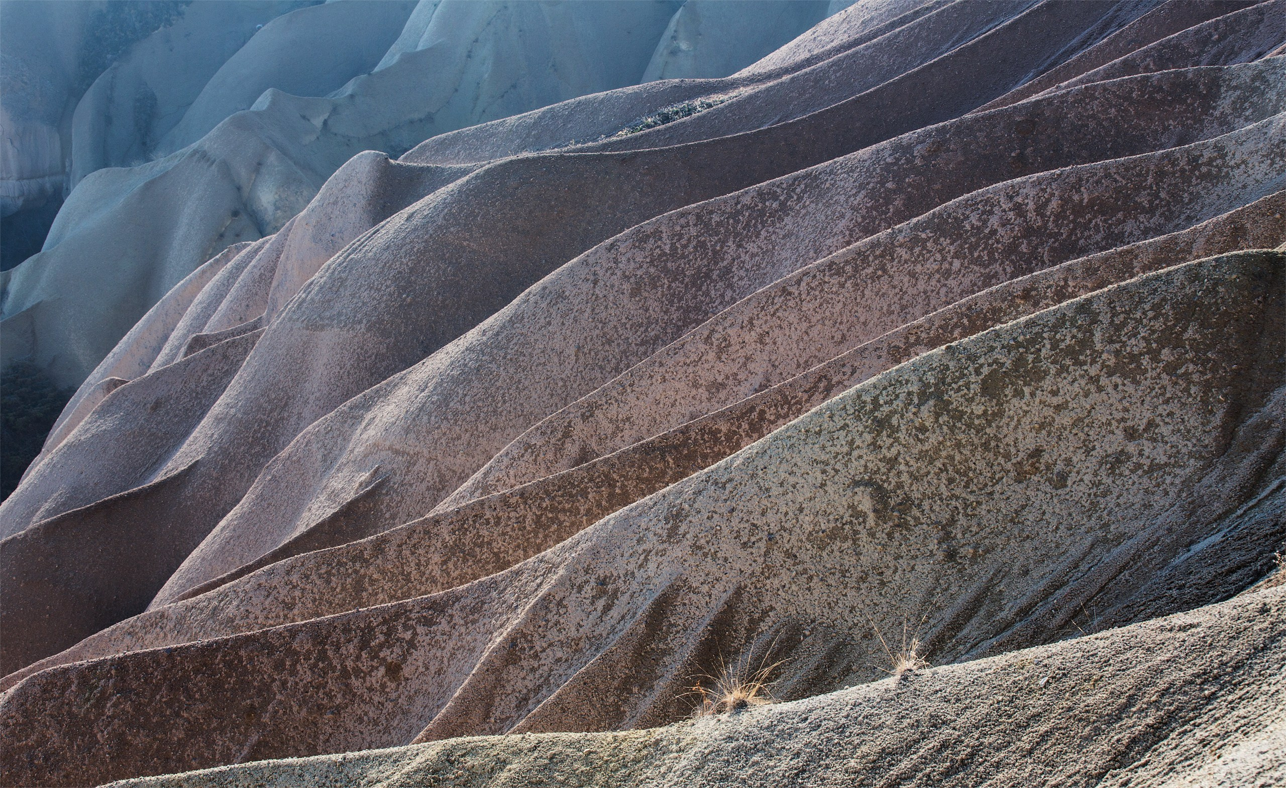Фотограф Владимир Медведев