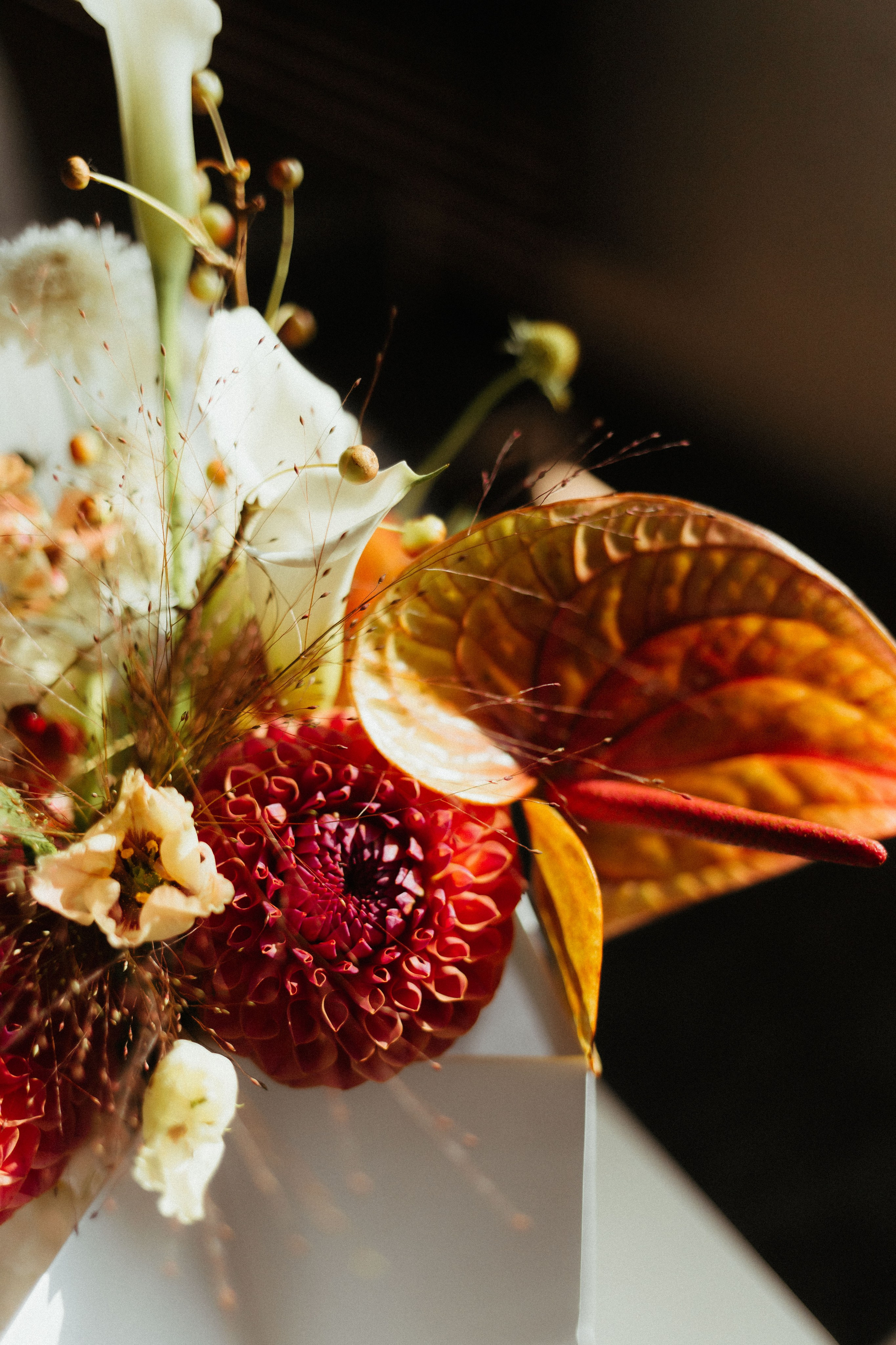 Владимир и Александра. Катерина Аникеева | Фотограф | Екатеринбург