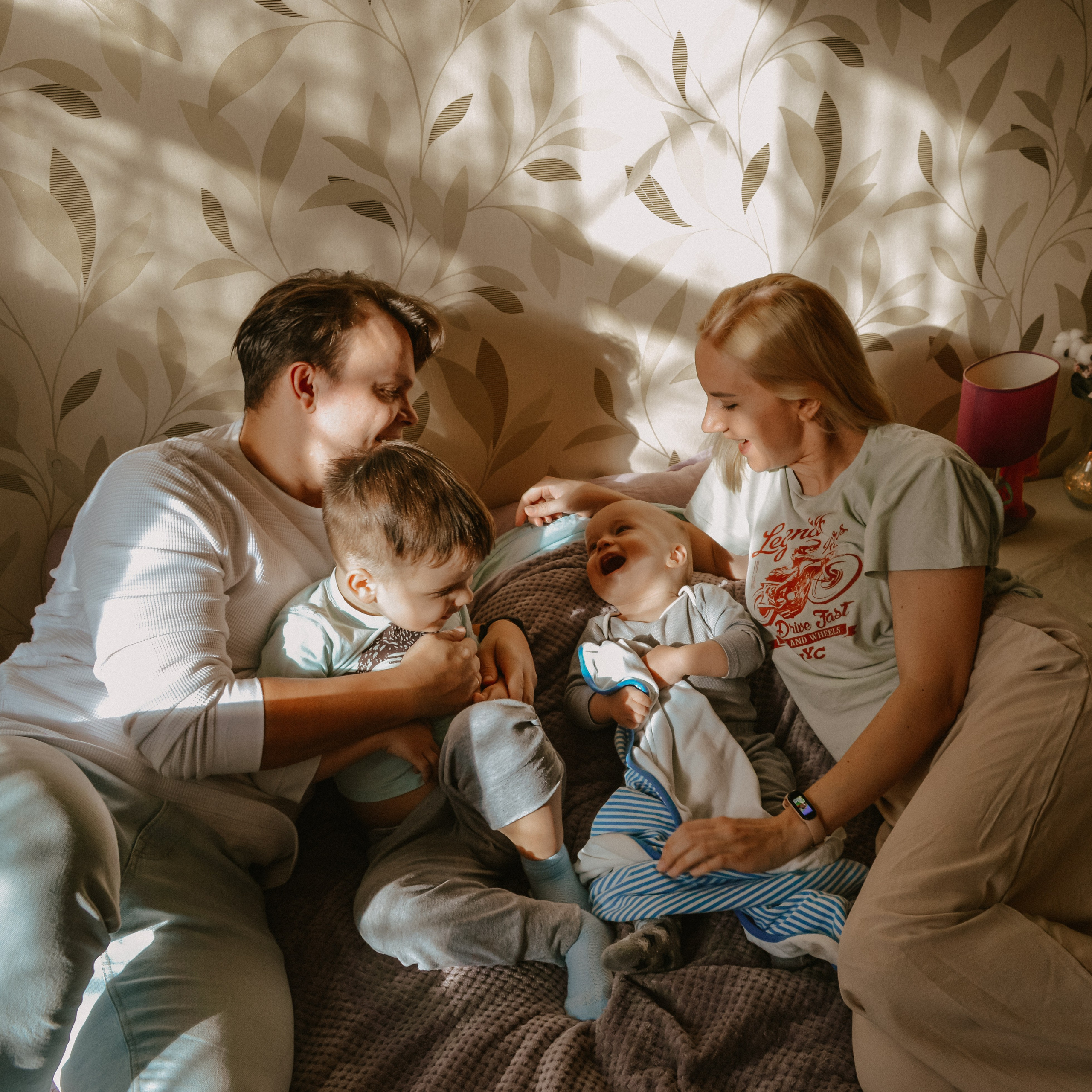 Домашняя история. Meryfotoidea