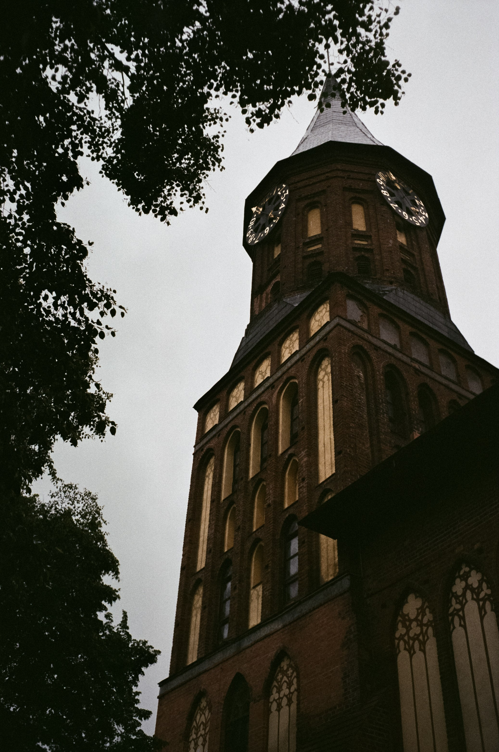 Калининград остров Канта, Кафедральный собор / Minox 35 GT (2)