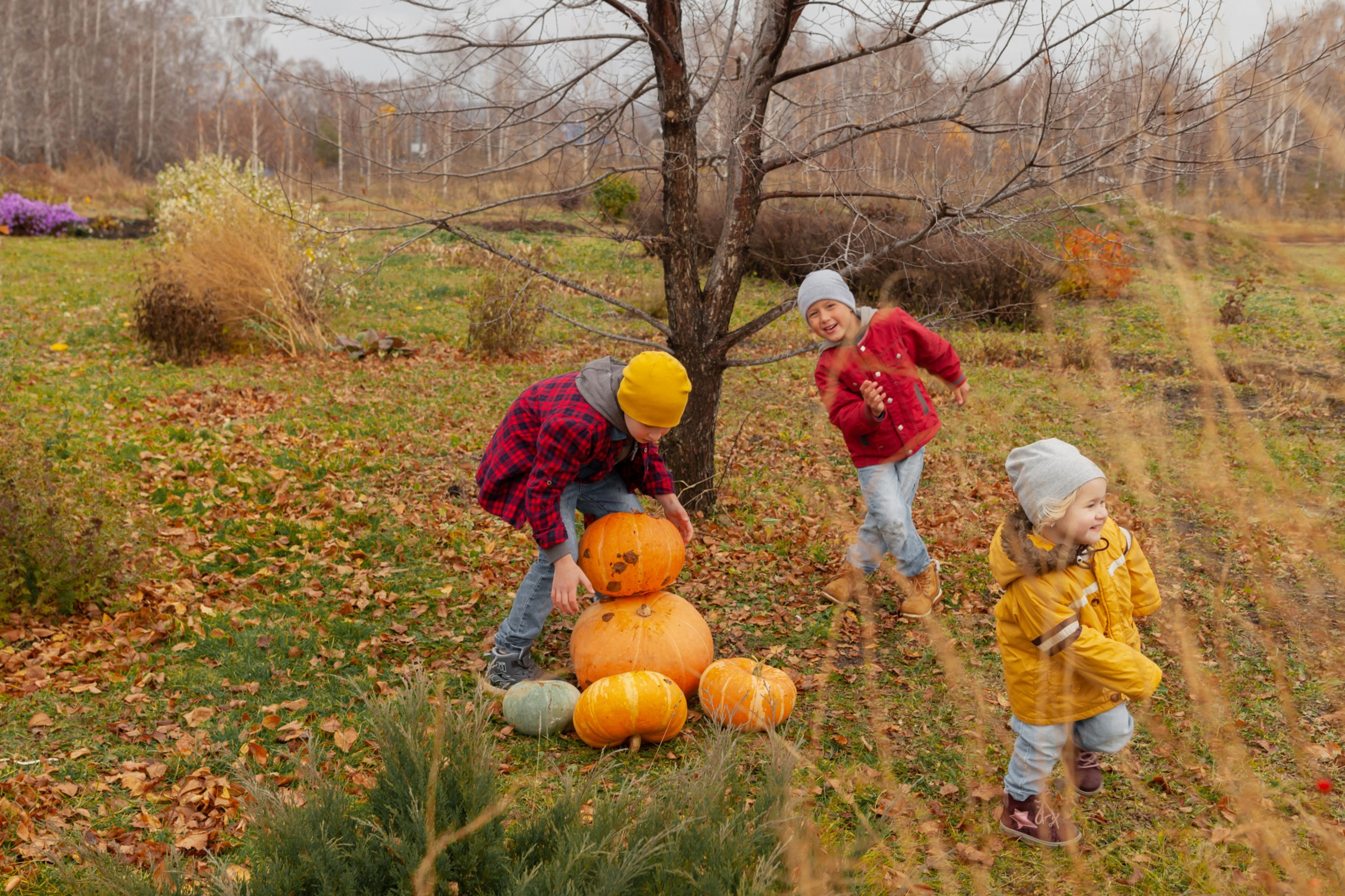 Осень. Детский и семейный фотограф в Бердске и Новосибирске Дарья Гребнева