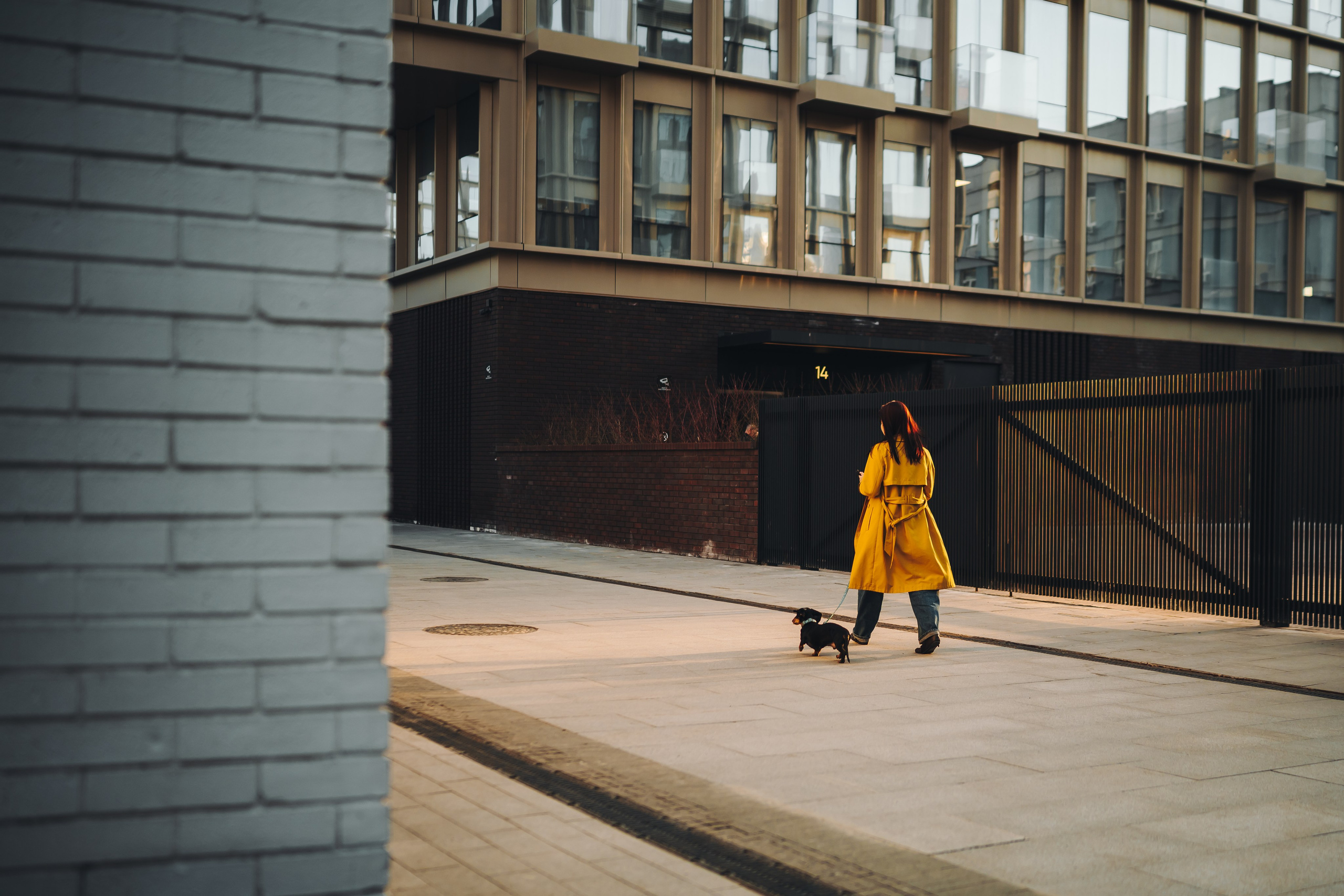 Аня и Оскар. Семейный фотограф анималист Ананьева Мария — Москва