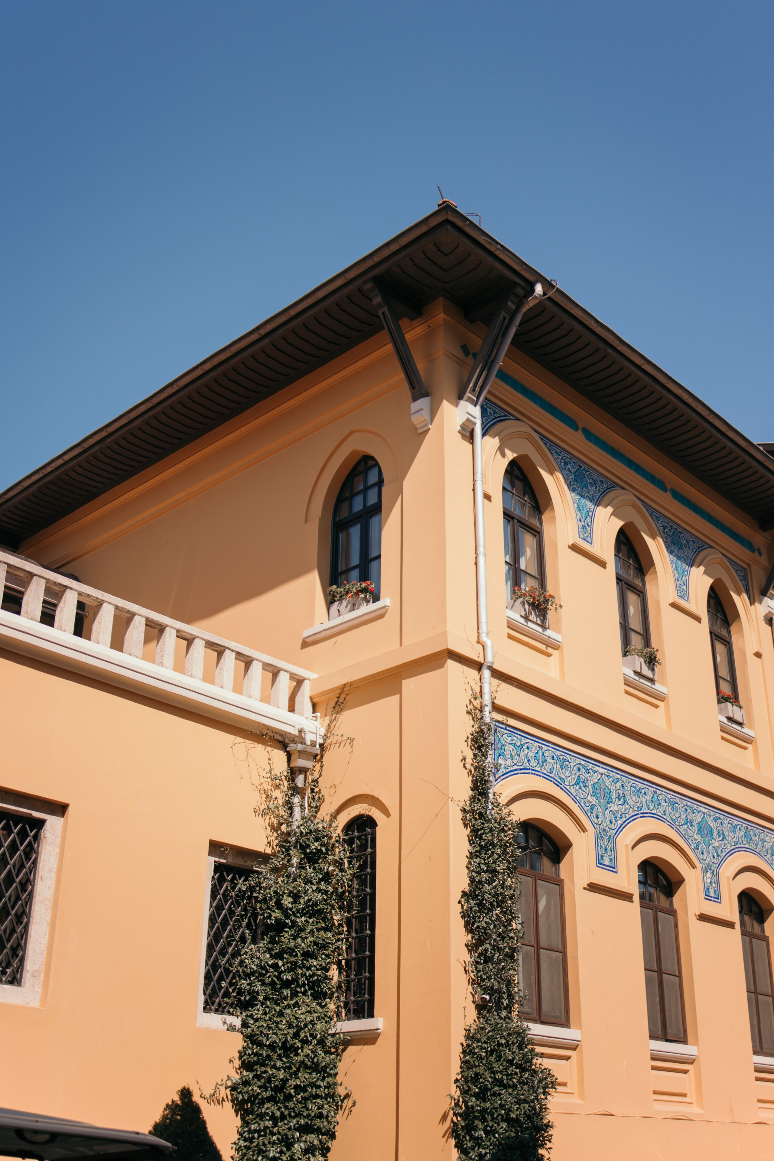 Street photo. Photographer in Turkey — Dari N