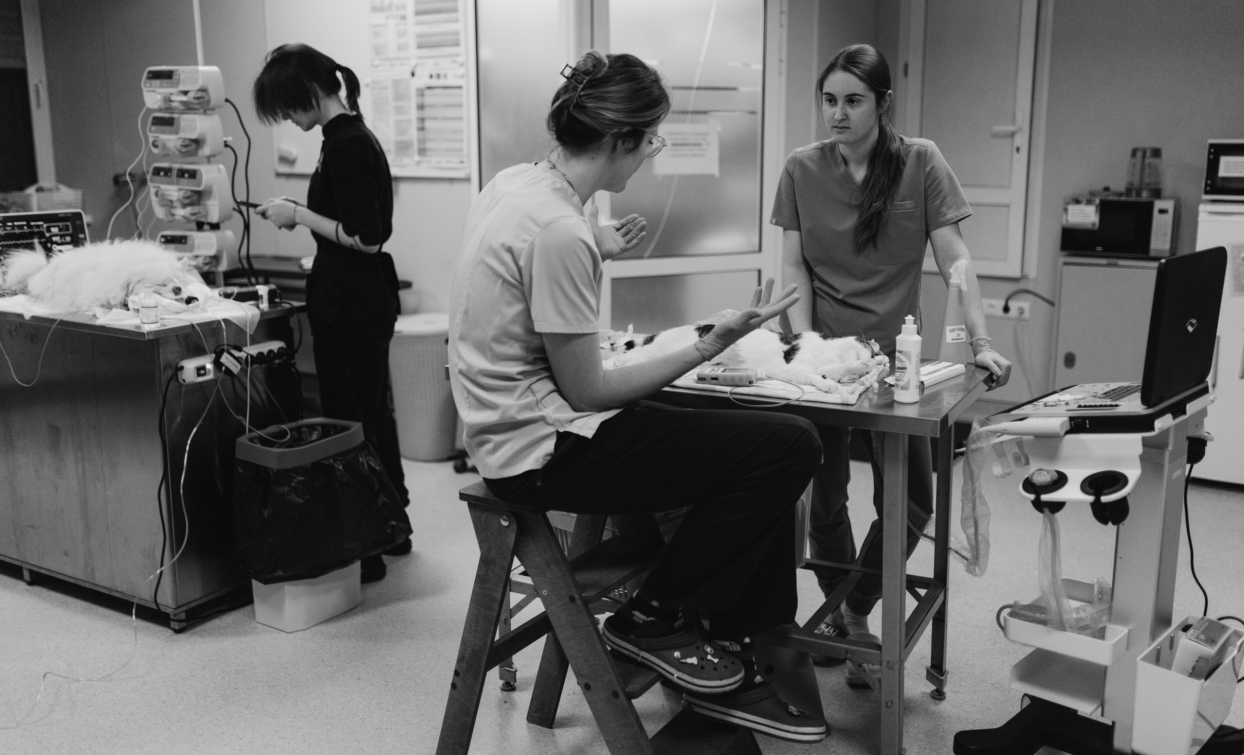 VetLife. Татьяна Афонина | Фотограф