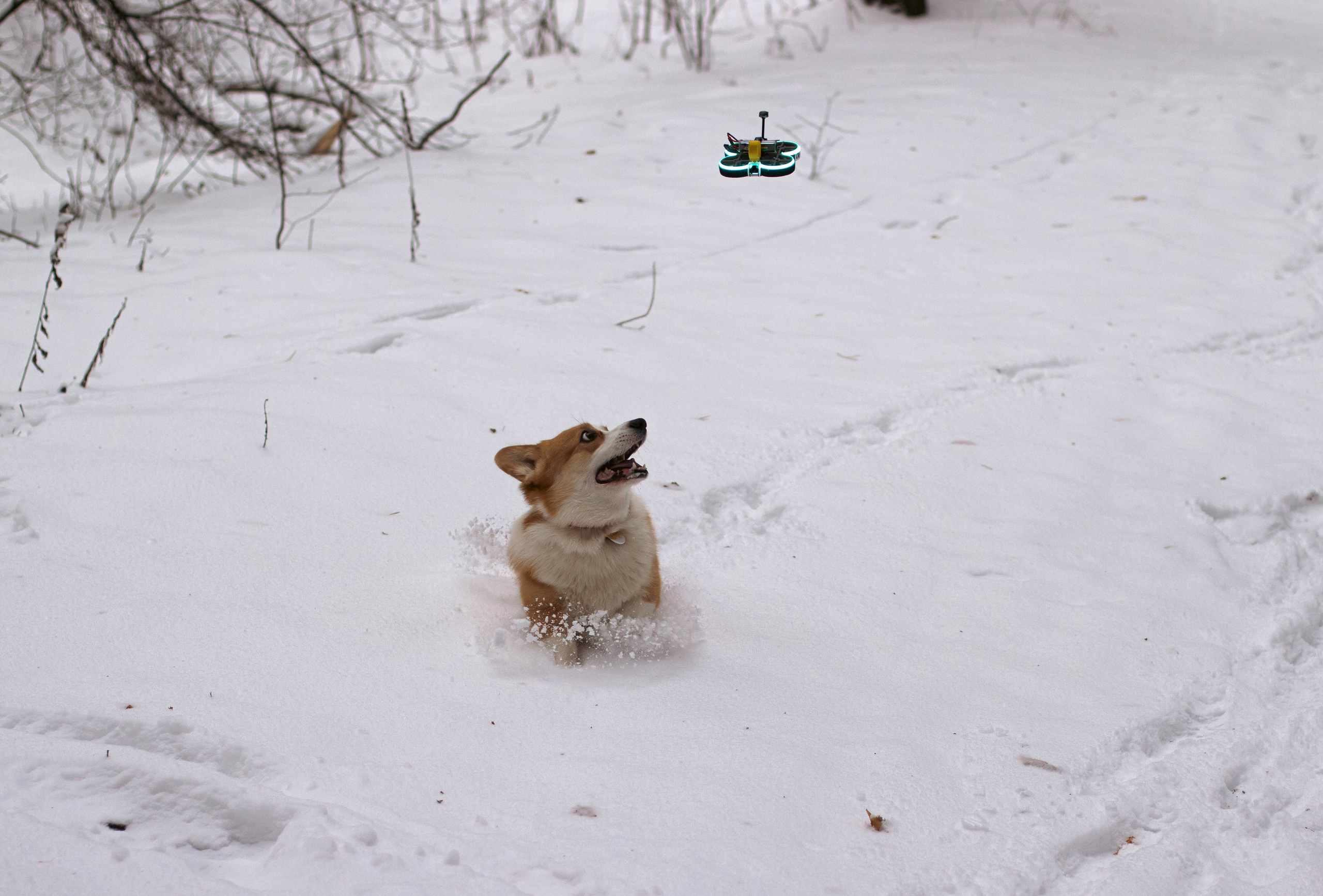 Деймик. Фотограф в Москве Ксюшенька