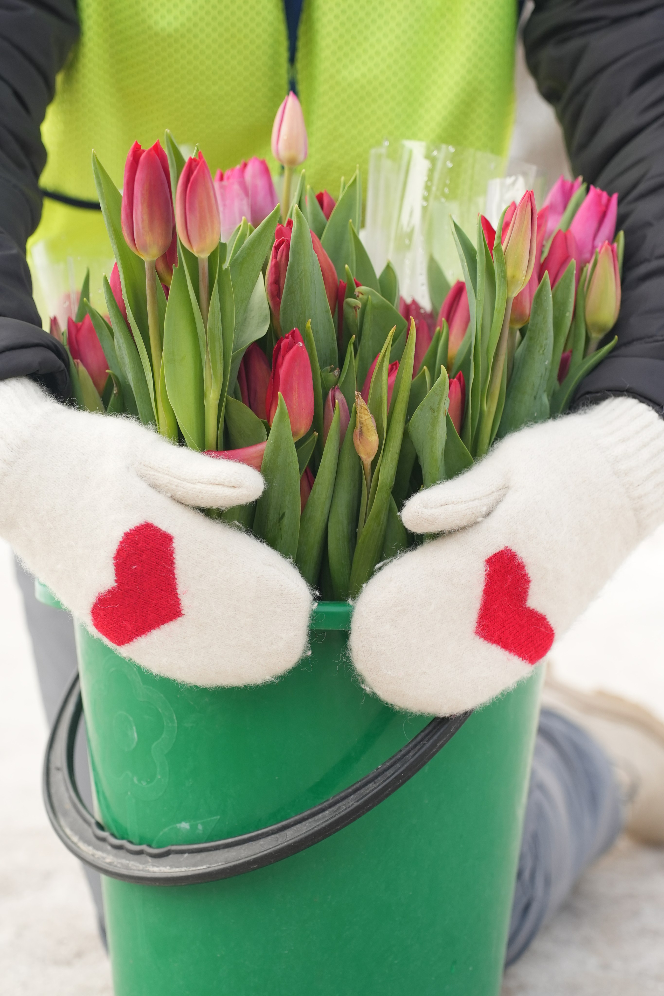 Фотограф Алиса Счастливая | Свадьбы, дети, спорт | Москва