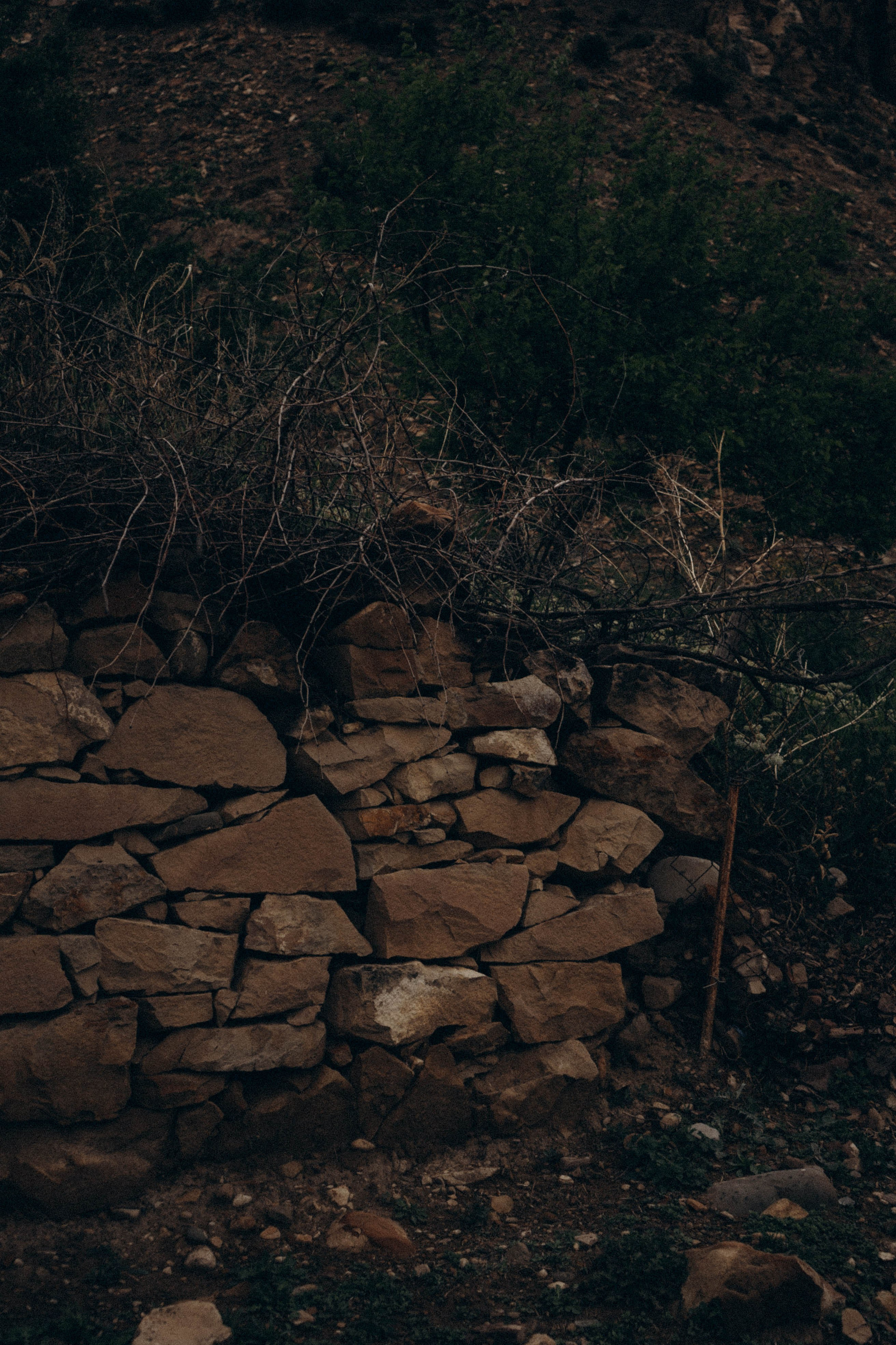 Кавказ. Профессиональный фотограф, Санкт-Петербург — Виктория Богомолова