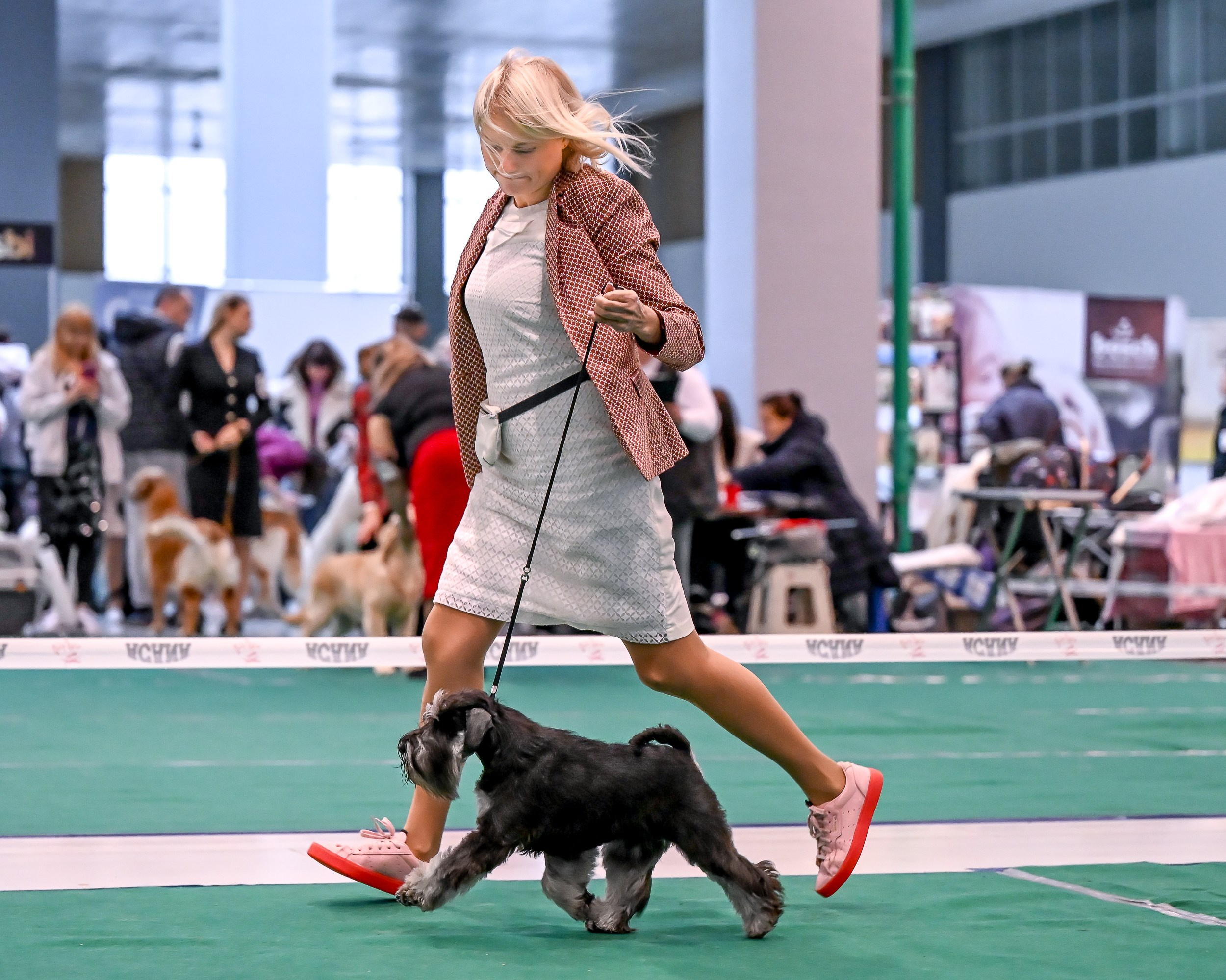 Delinso Balance Chivas Regal (Li Mu Zi Chinese Dragon x Delinso Balance Onyrico Tahoe)