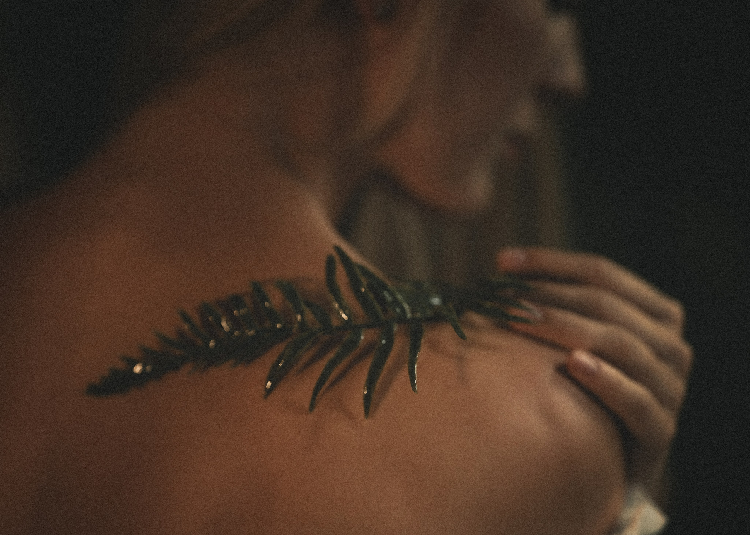 Портфолио. Семейный и детский фотограф в Москве Елизавета Царькова