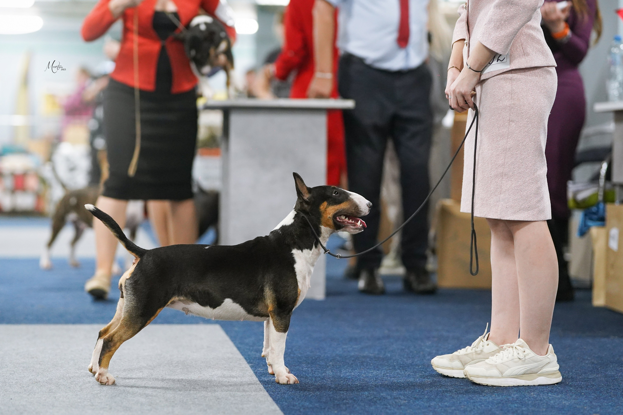Выставки 2023. Фотограф-анималист в Санкт-Петербурге Яна Мартынова