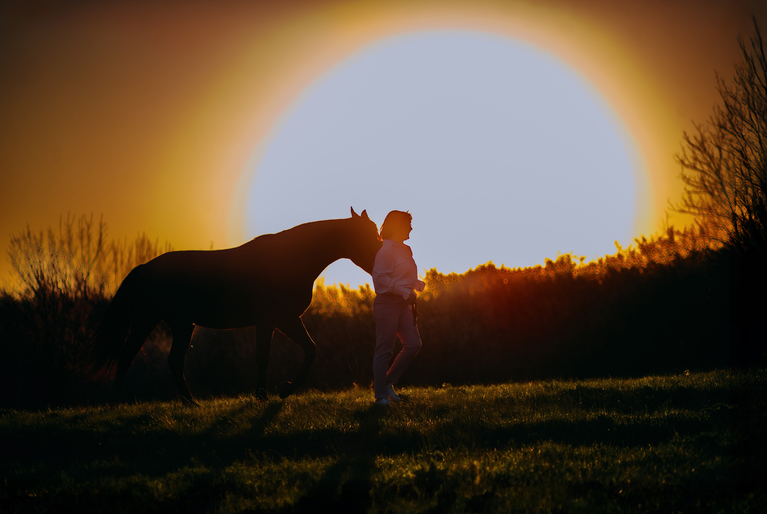 Лена и Сархан. Фотограф-анималист Ксендзова Кристина