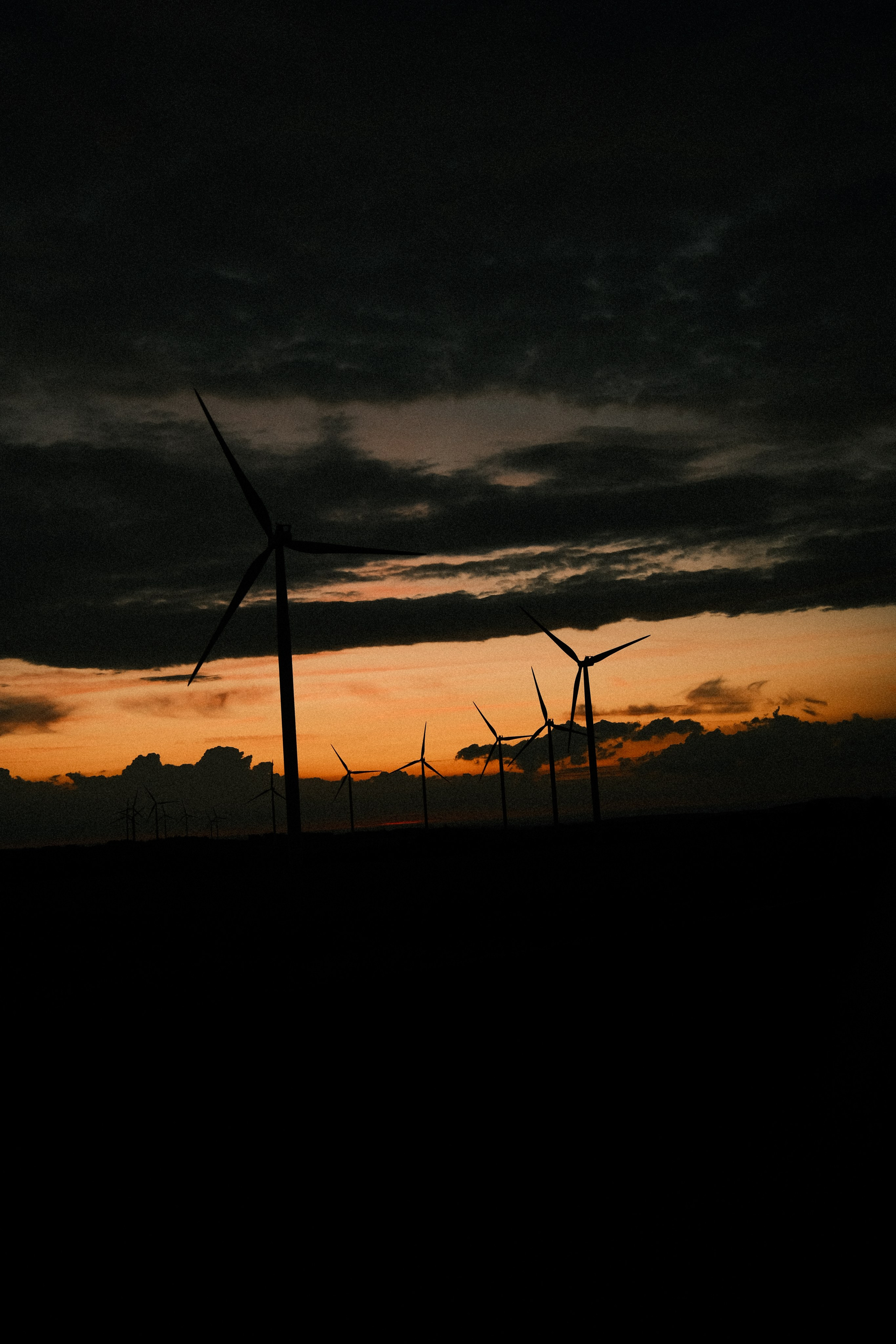 Green energy. Портретный фотограф