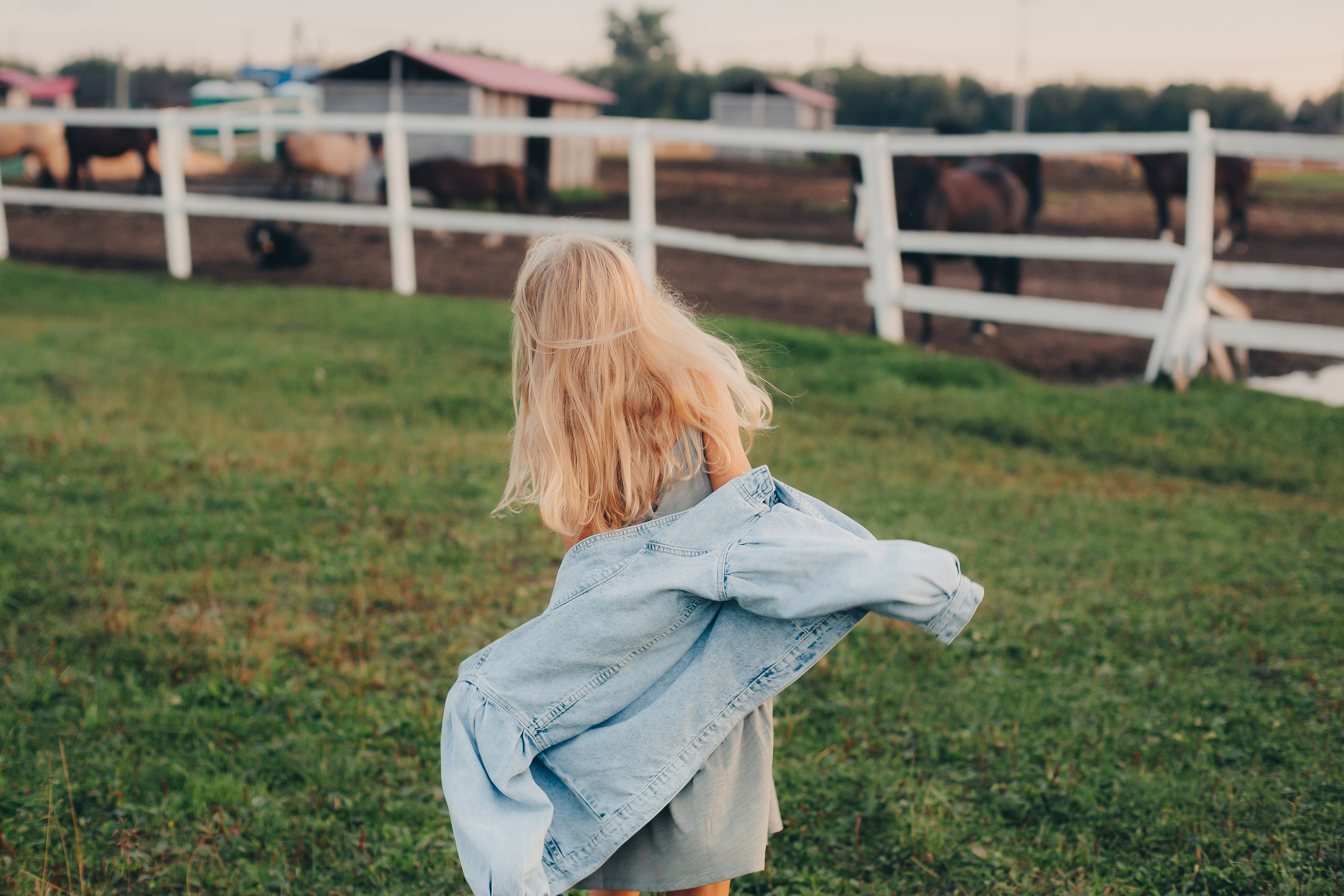 Фотосессия на конюшне. Фотограф Евгения Мальцева, Архангельск