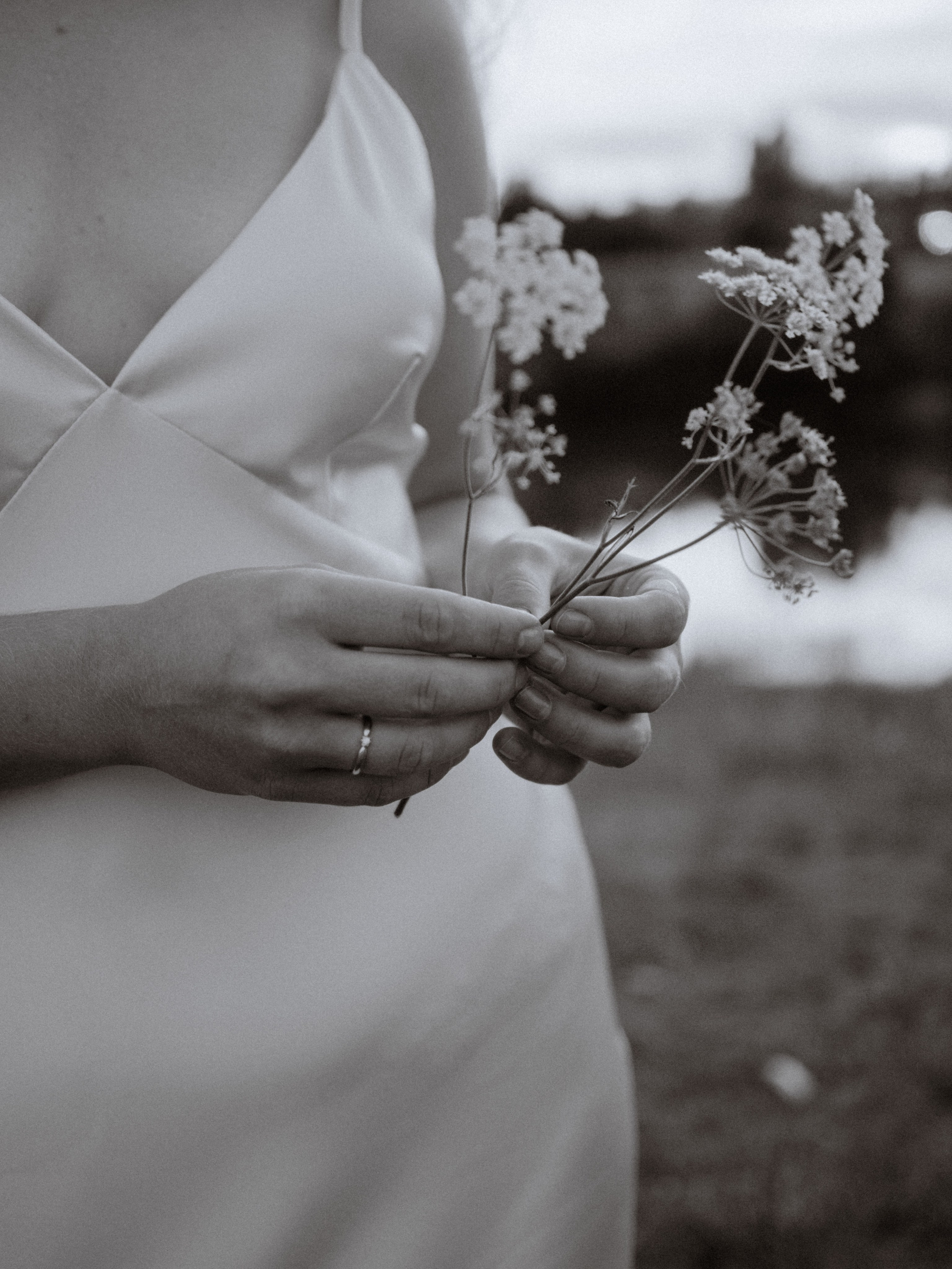 Альбина в поле. Фотограф в Нижнем Новгороде, Сарове и Москве. Оля Фролова