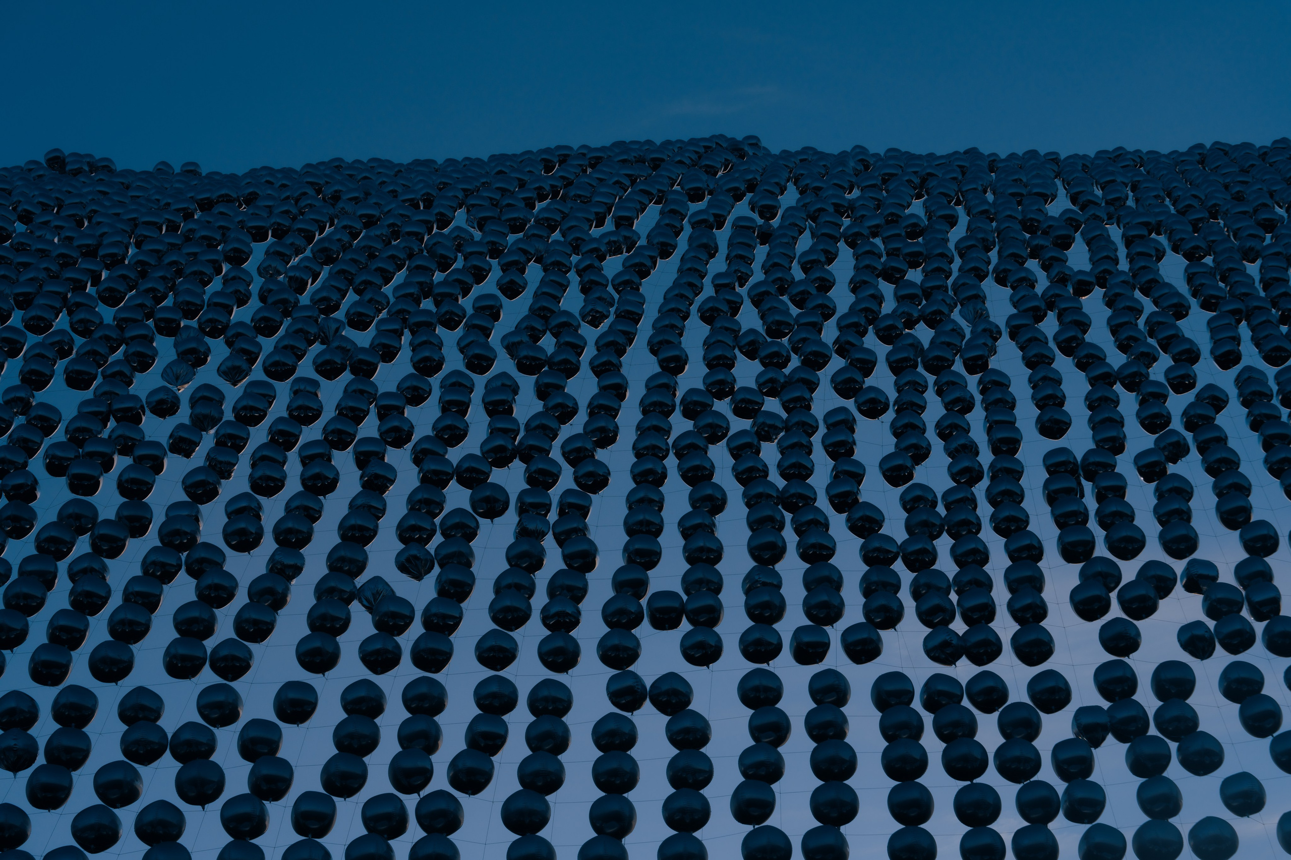 Signal 2024. @tomrus: Рустам Шагиморданов — фотограф