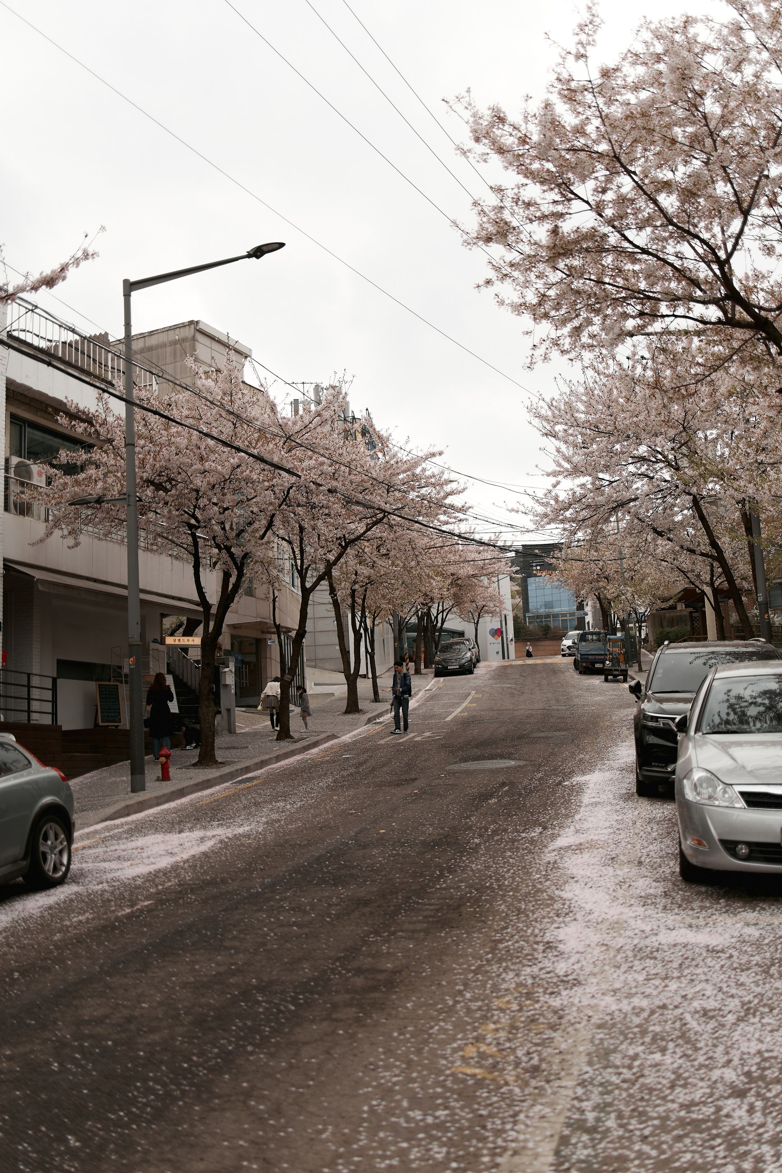 Катя + Гена. Katerina Simina — worldwide photographer | Europe