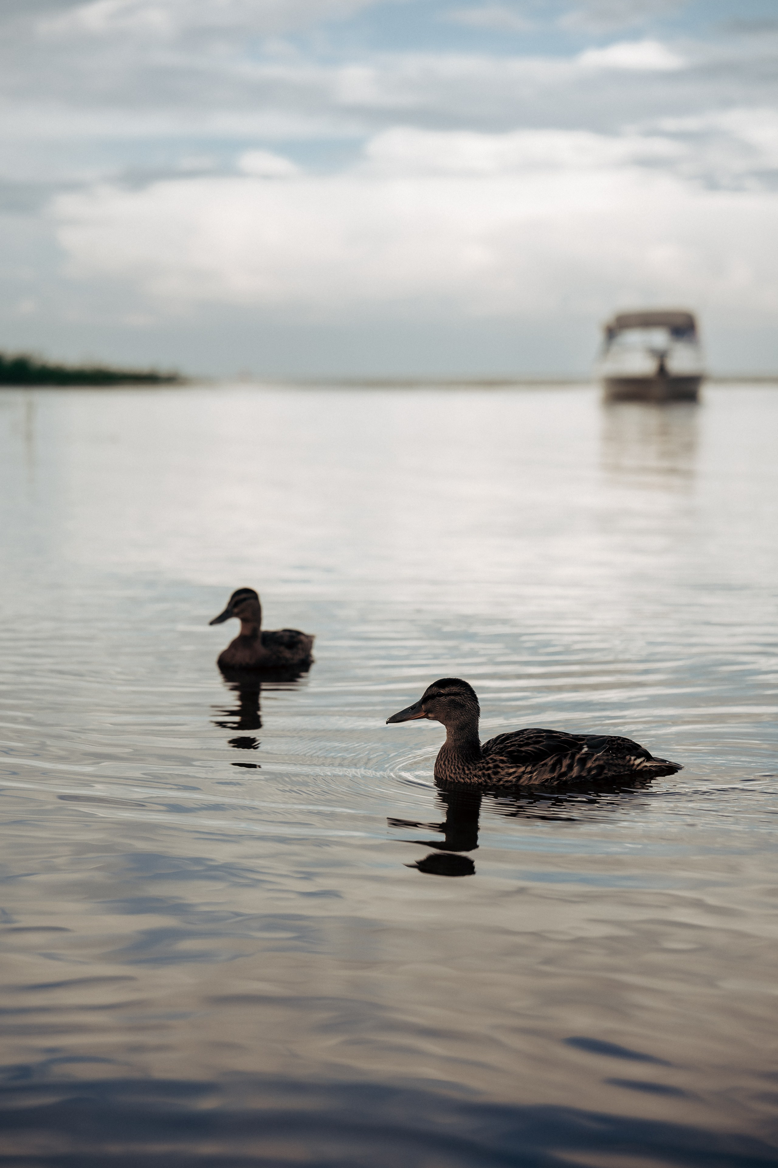 Шлиссельбург. Профессиональный фотограф в Санкт-Петербурге Александр Волосенцев