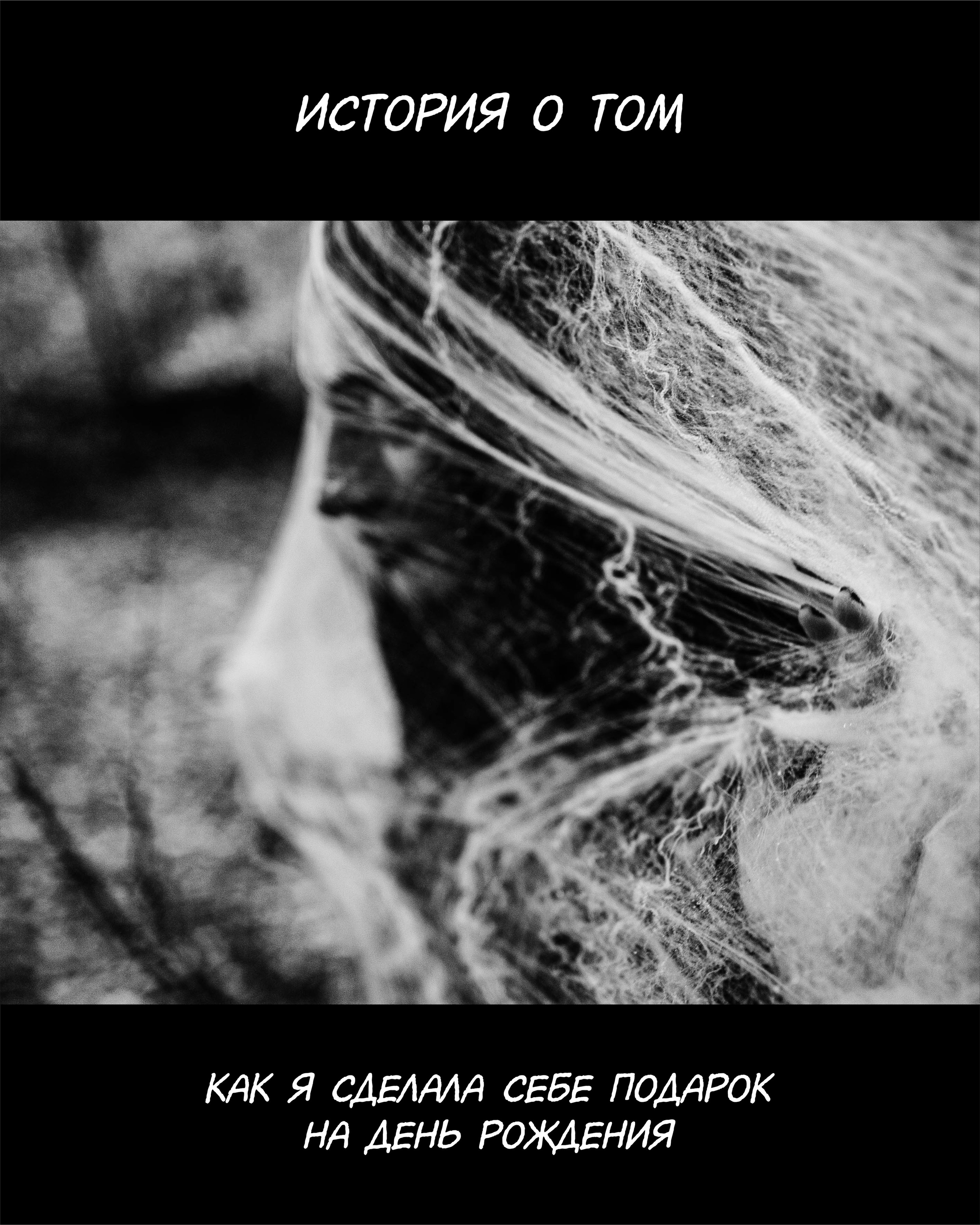 Калининград, ПОНАРТ, Международная фотовыставка