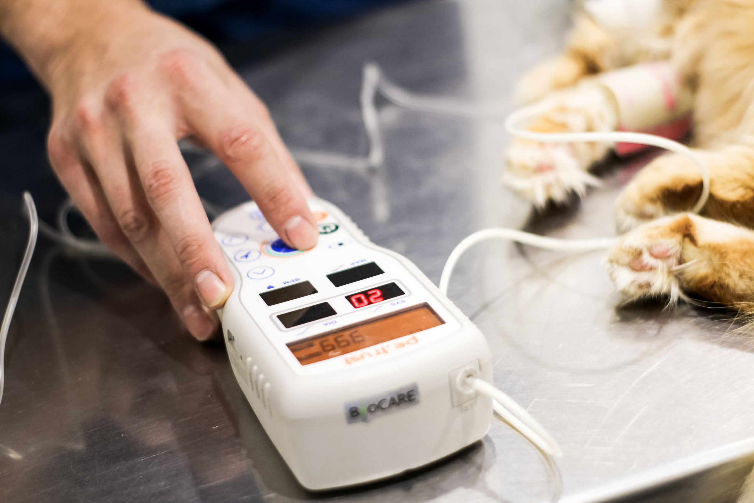 Визуал. Визуализатор | Контент-фотограф Хоршева Анастасия