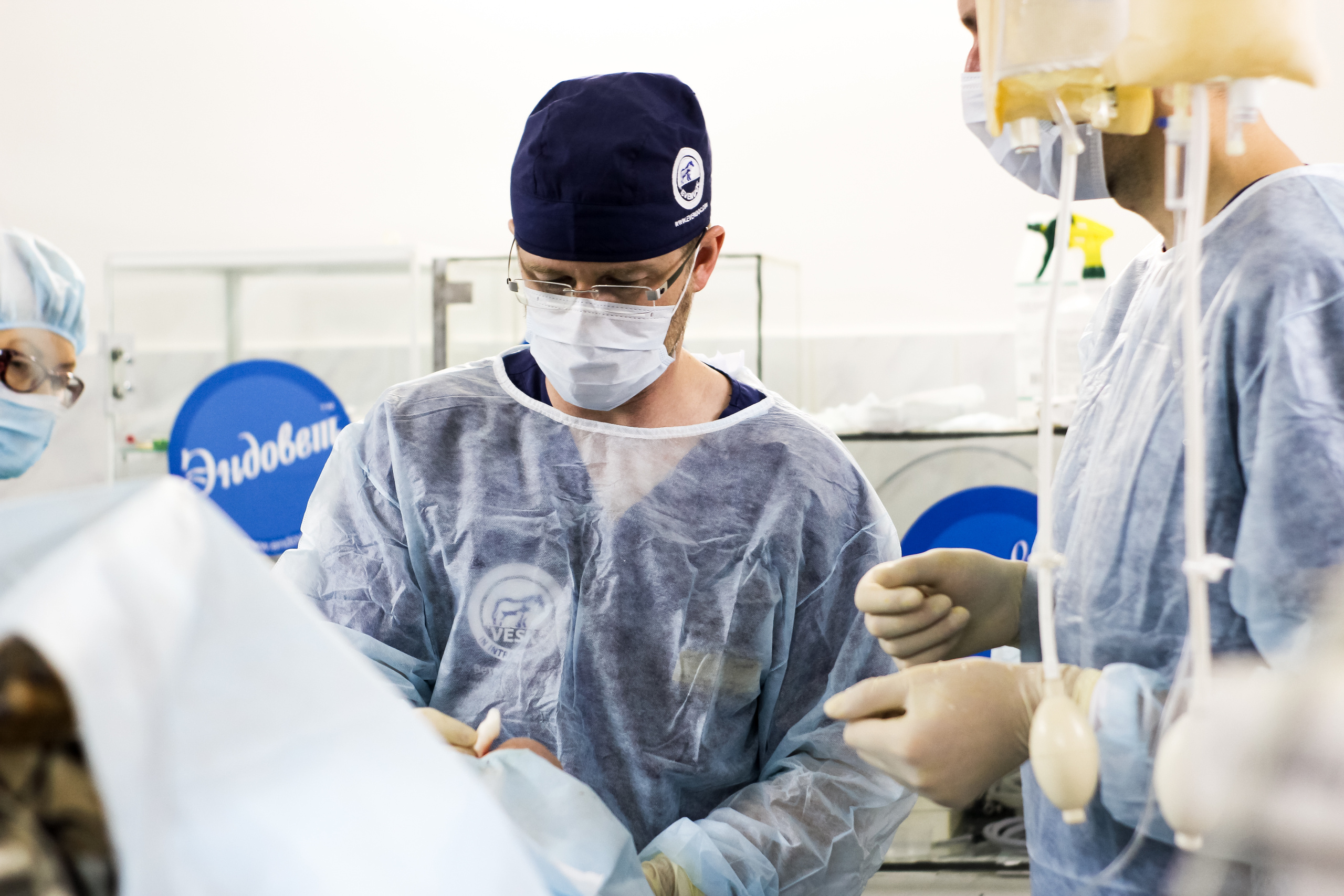 Визуал. Визуализатор | Контент-фотограф Хоршева Анастасия