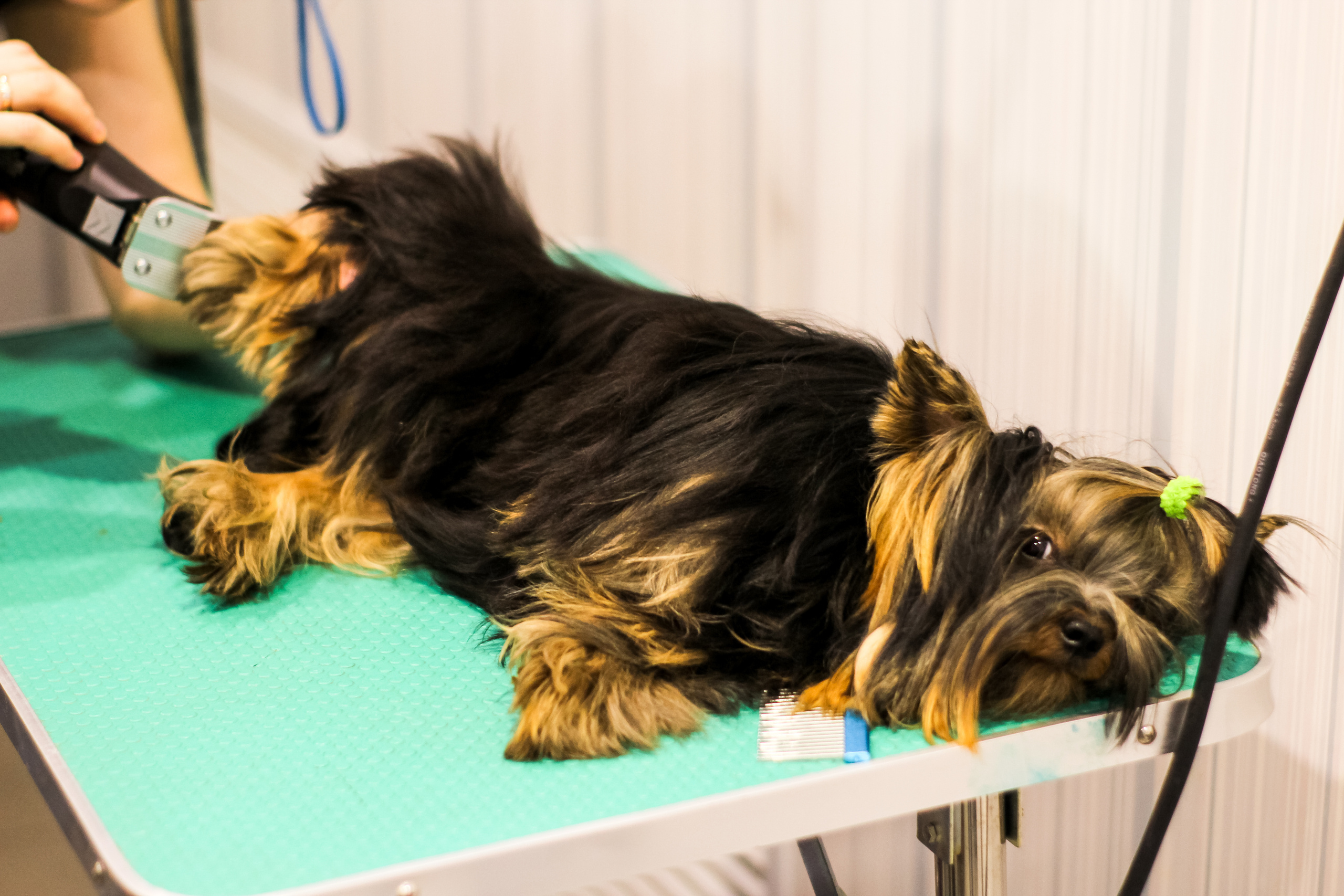 Визуал. Визуализатор | Контент-фотограф Хоршева Анастасия