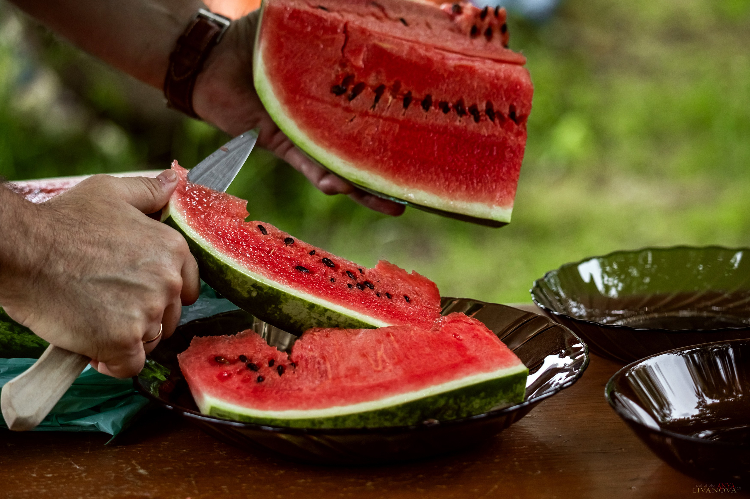 Аджилити Рыбинск. Фотограф анималист Аня Ливанова | Рыбинск