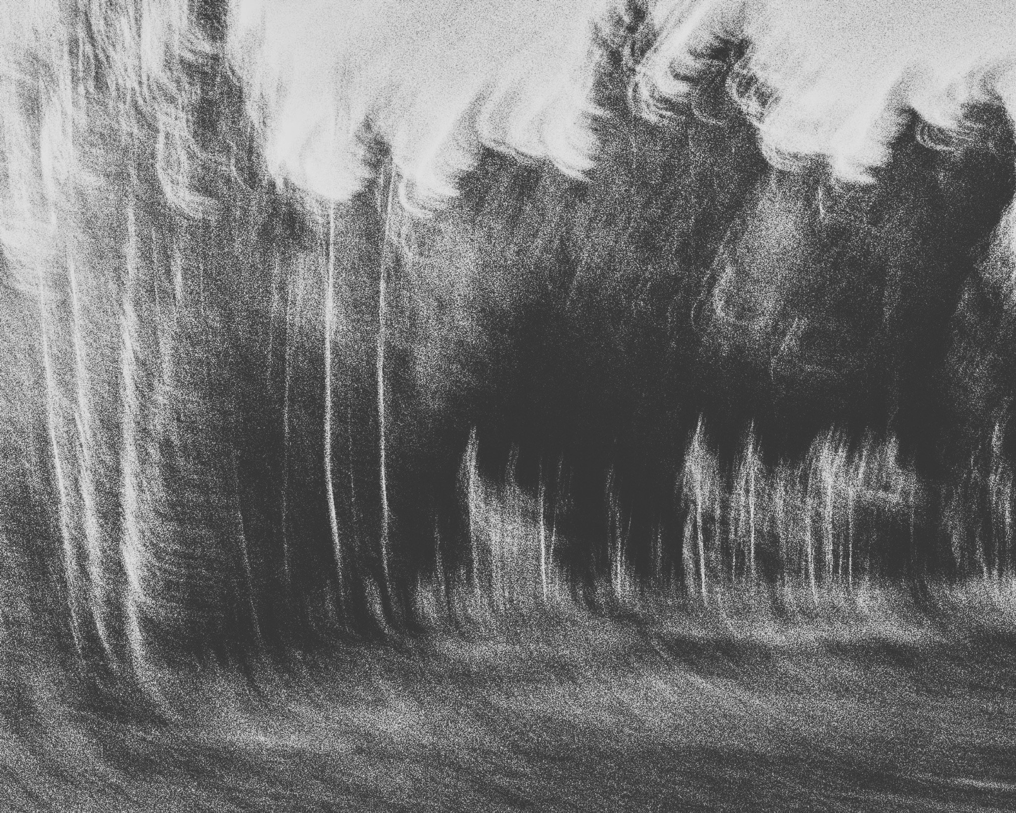 Я искал скворечник. Художественный фотограф в Москве Алексей Сутягин