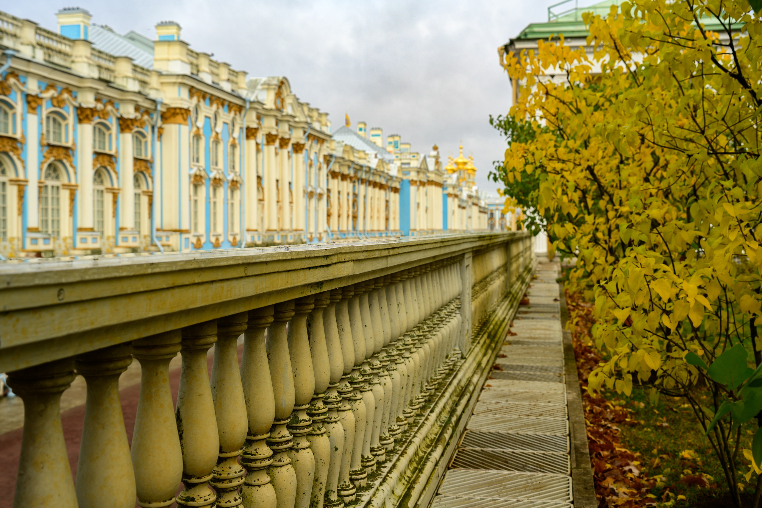 SAINT PETERSBURG | SUBURBS. Personal website of photographer Dmitry Raikin