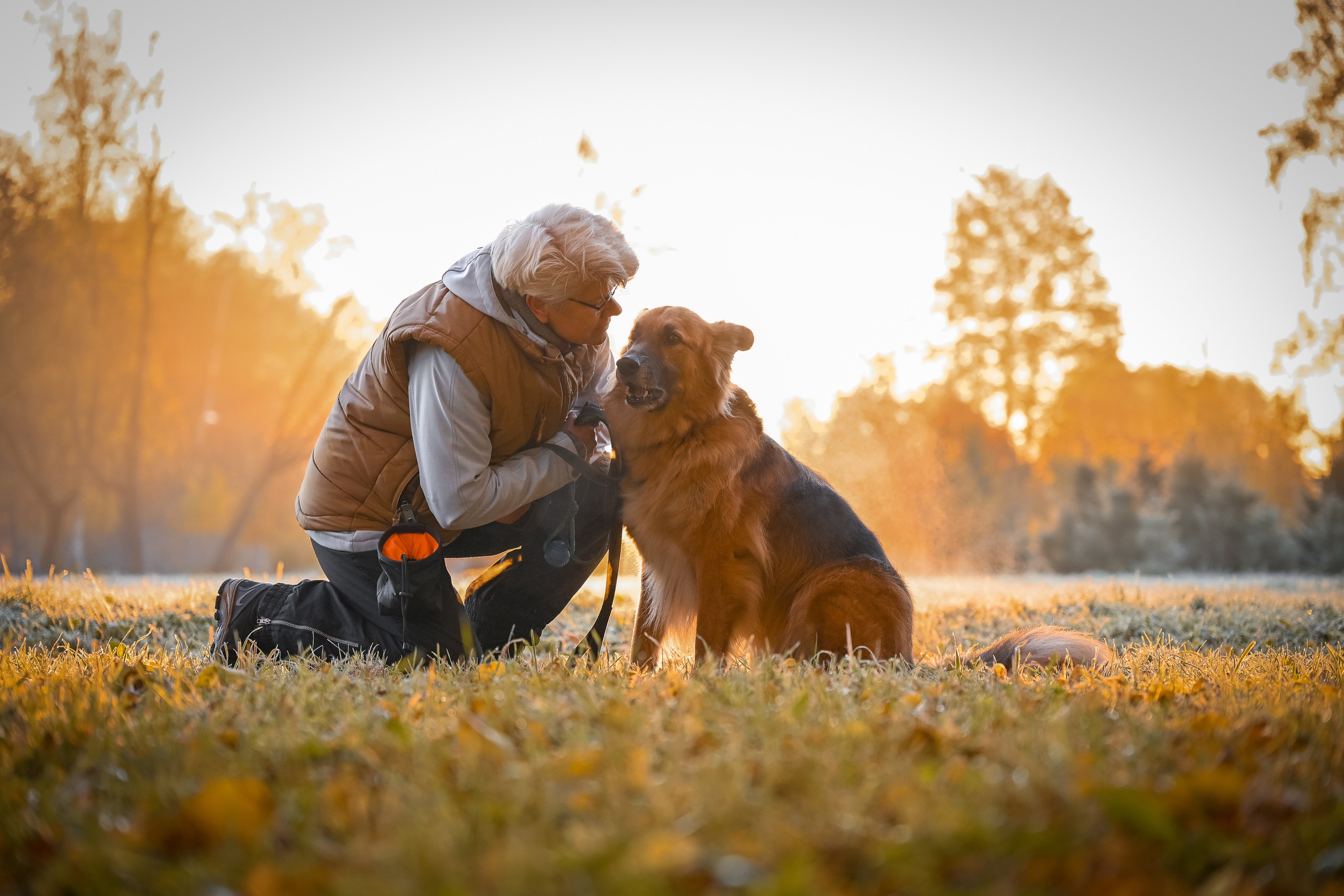Питомцы с хозяином. Фотограф-анималист в Санкт-Петербурге Анастасия Иванова
