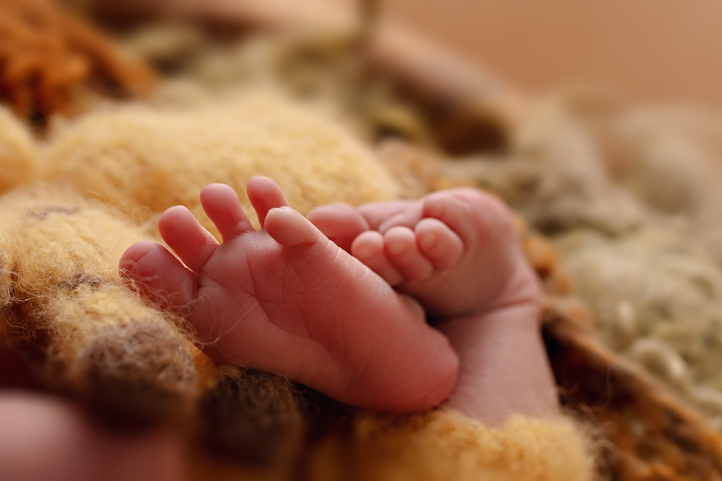 ДАНИИЛ Classic. Фотограф новорожденных Оксана Полевская