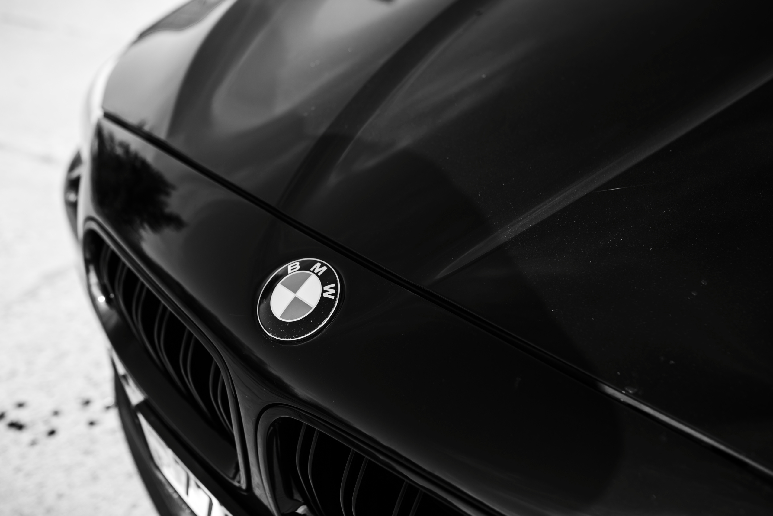 Таня. Свадебный и семейный фотограф Витебск, Минск, Андрей Павлов