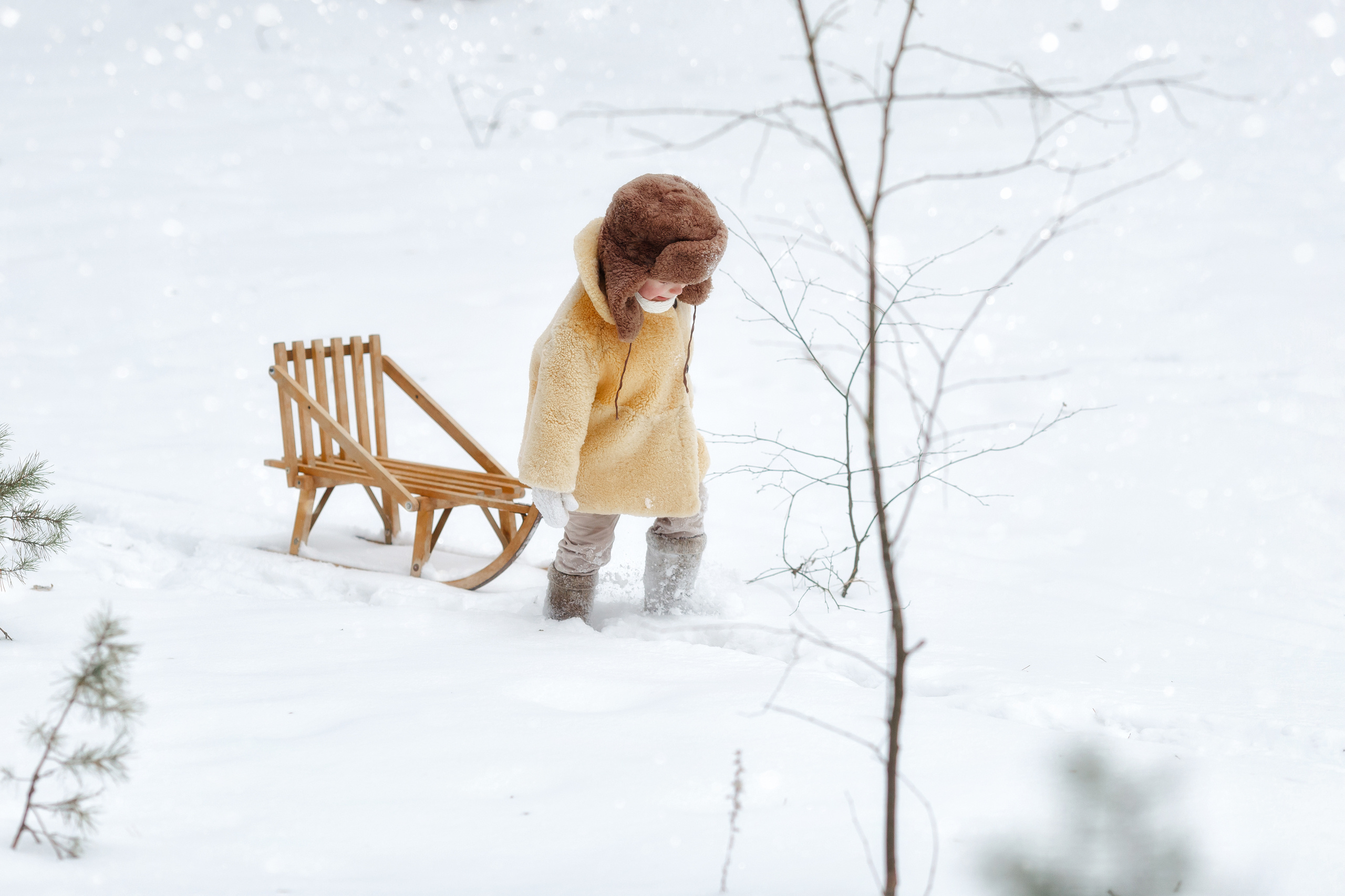 Янчик и его санки. Свадебный и семейный фотограф Витебск, Минск, Андрей Павлов