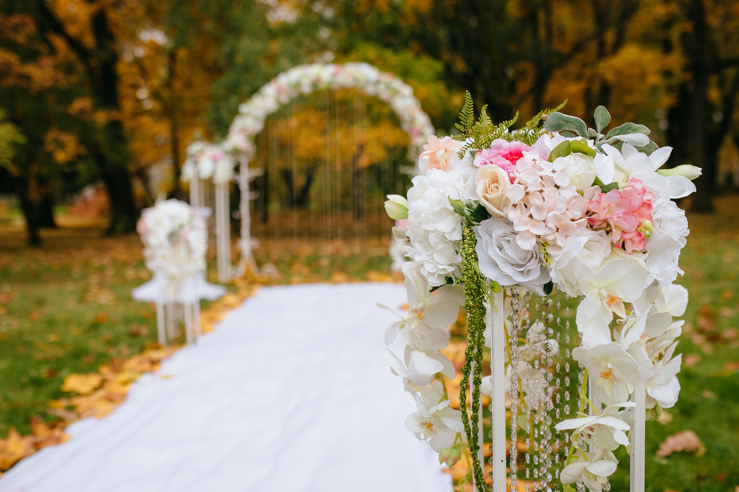 Игорь и Оля. Свадебный и семейный фотограф Витебск, Минск, Андрей Павлов
