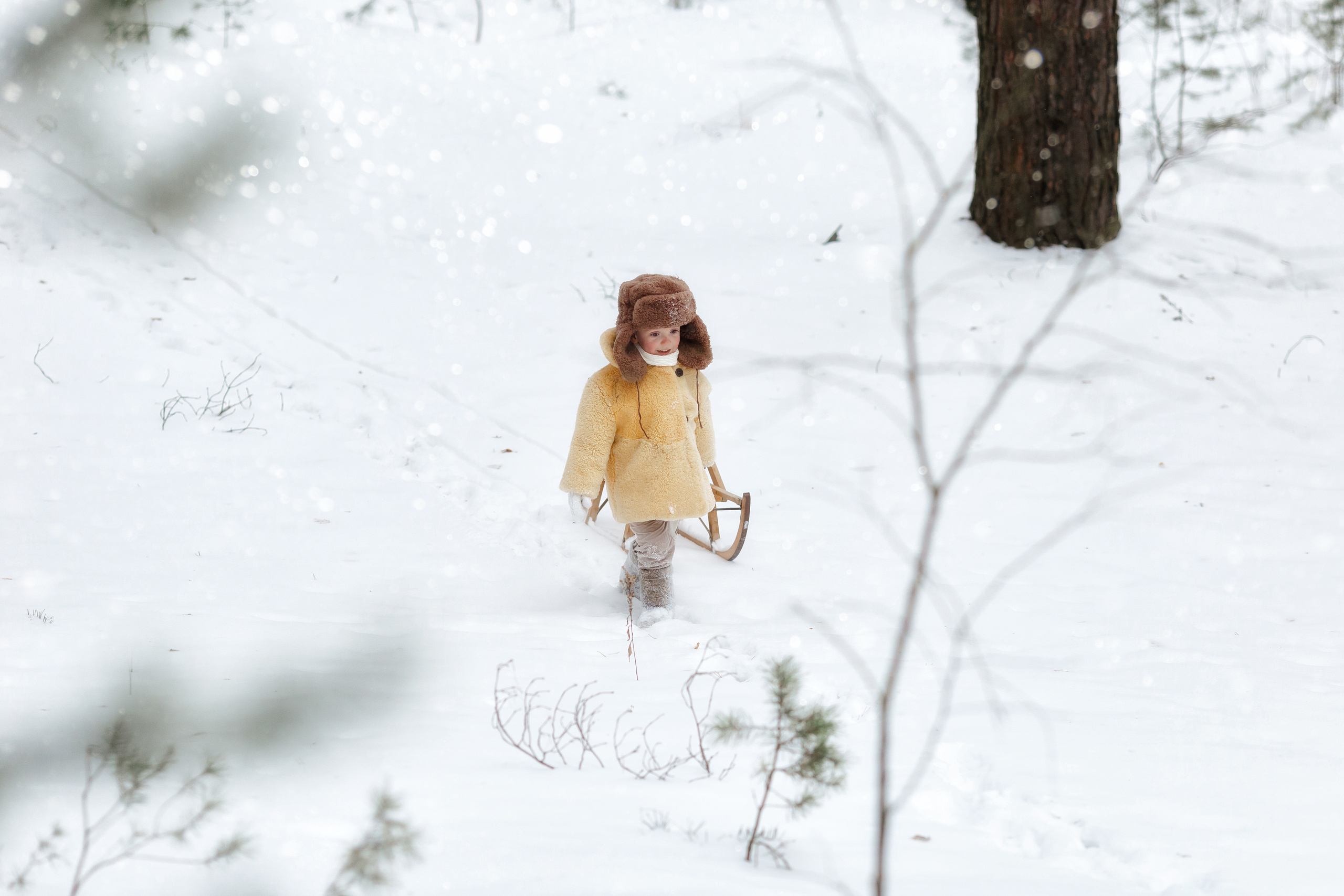Янчик и его санки. Свадебный и семейный фотограф Витебск, Минск, Андрей Павлов