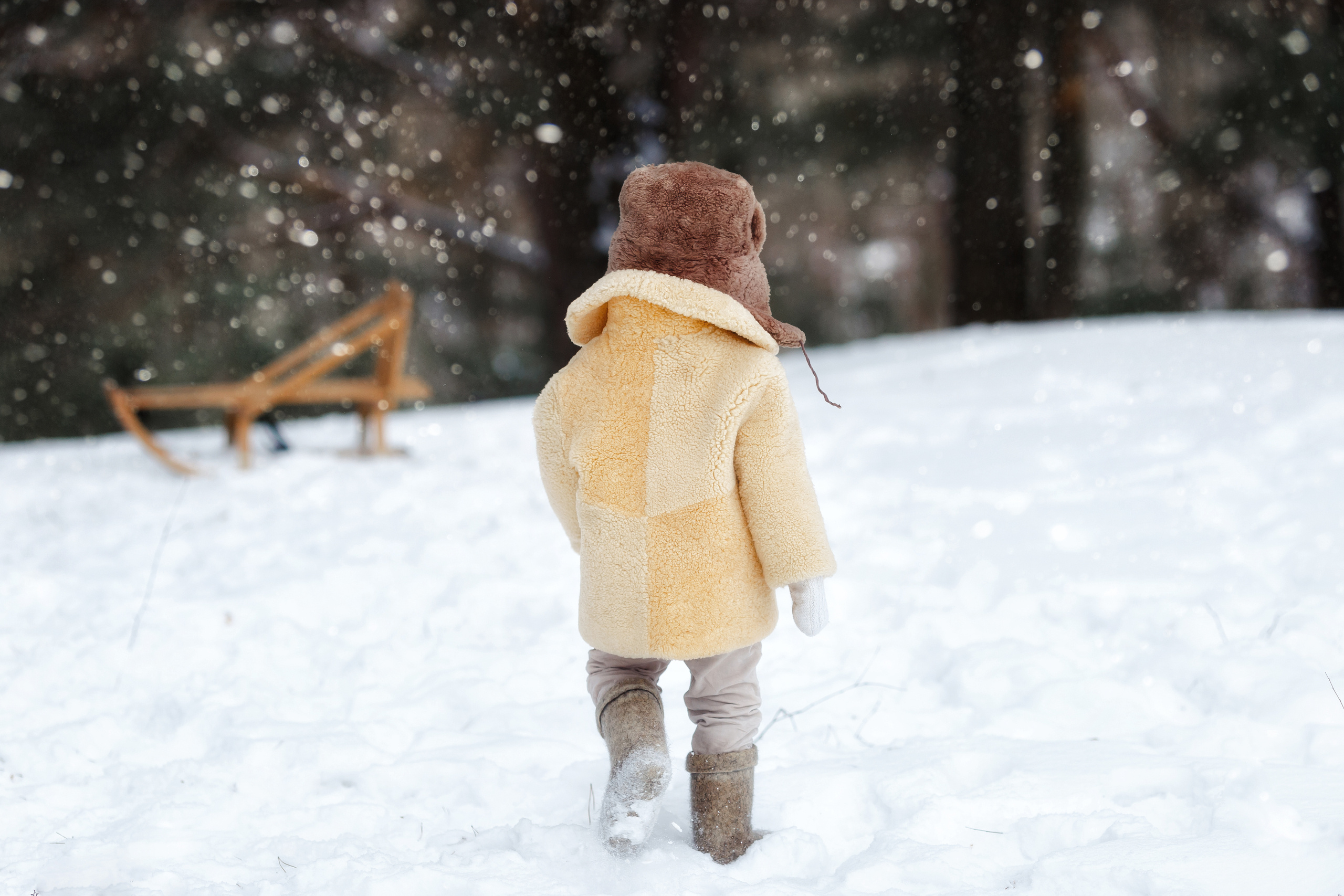 Янчик и его санки. Свадебный и семейный фотограф Витебск, Минск, Андрей Павлов
