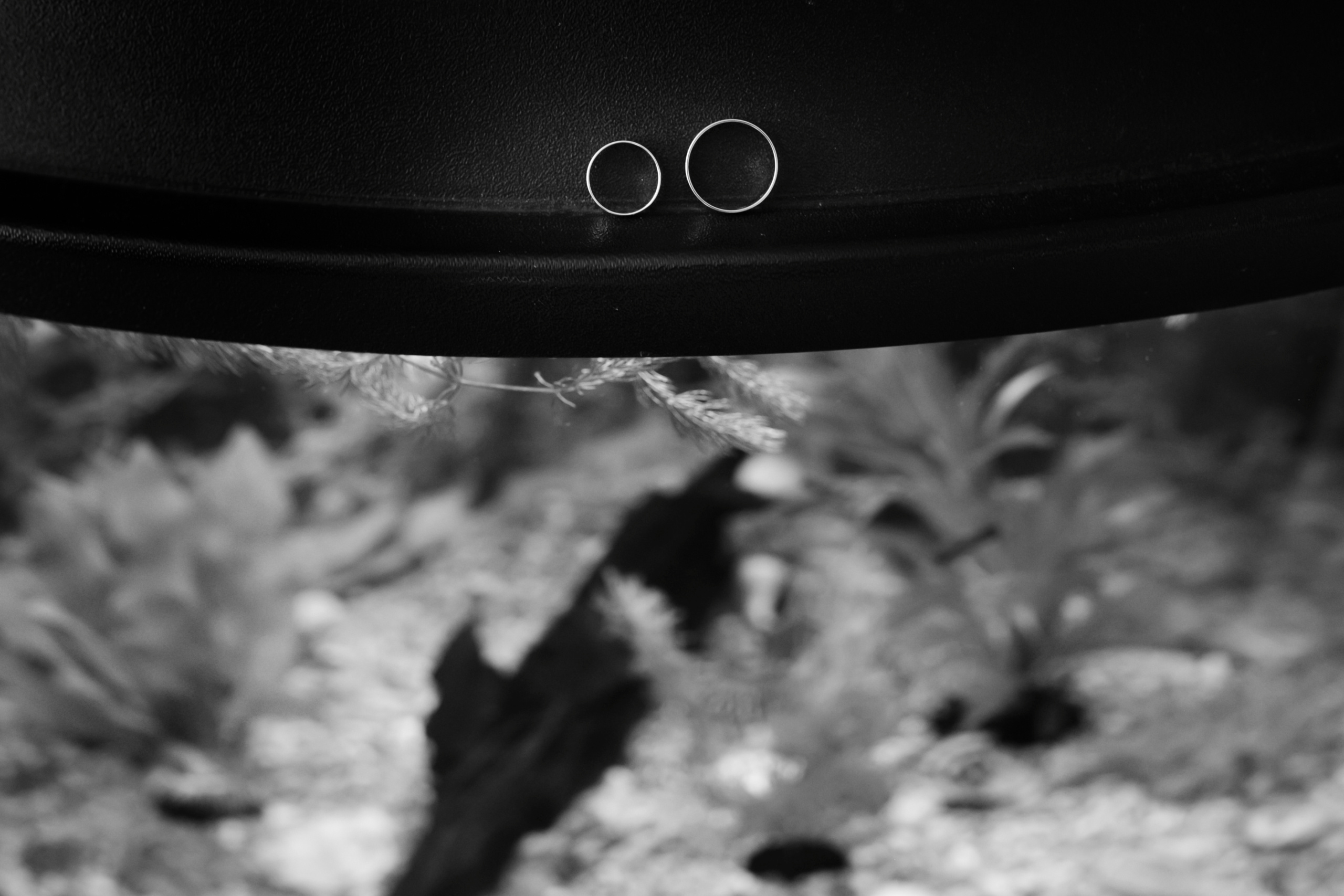 Игорь и Оля. Свадебный и семейный фотограф Витебск, Минск, Андрей Павлов