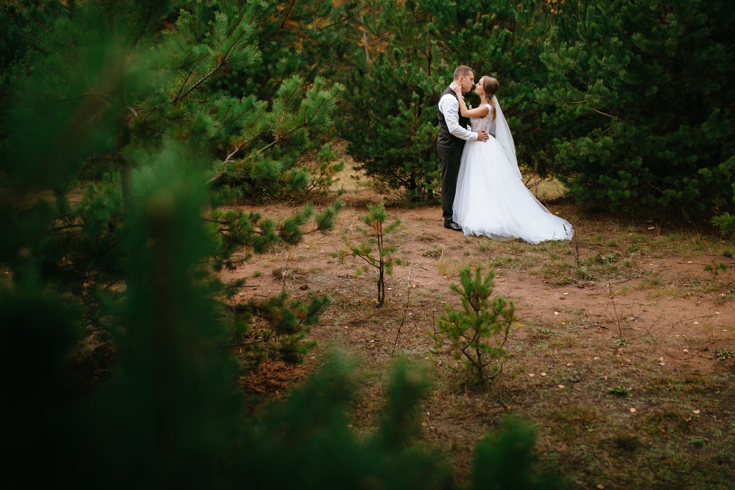 Игорь и Оля. Свадебный и семейный фотограф Витебск, Минск, Андрей Павлов