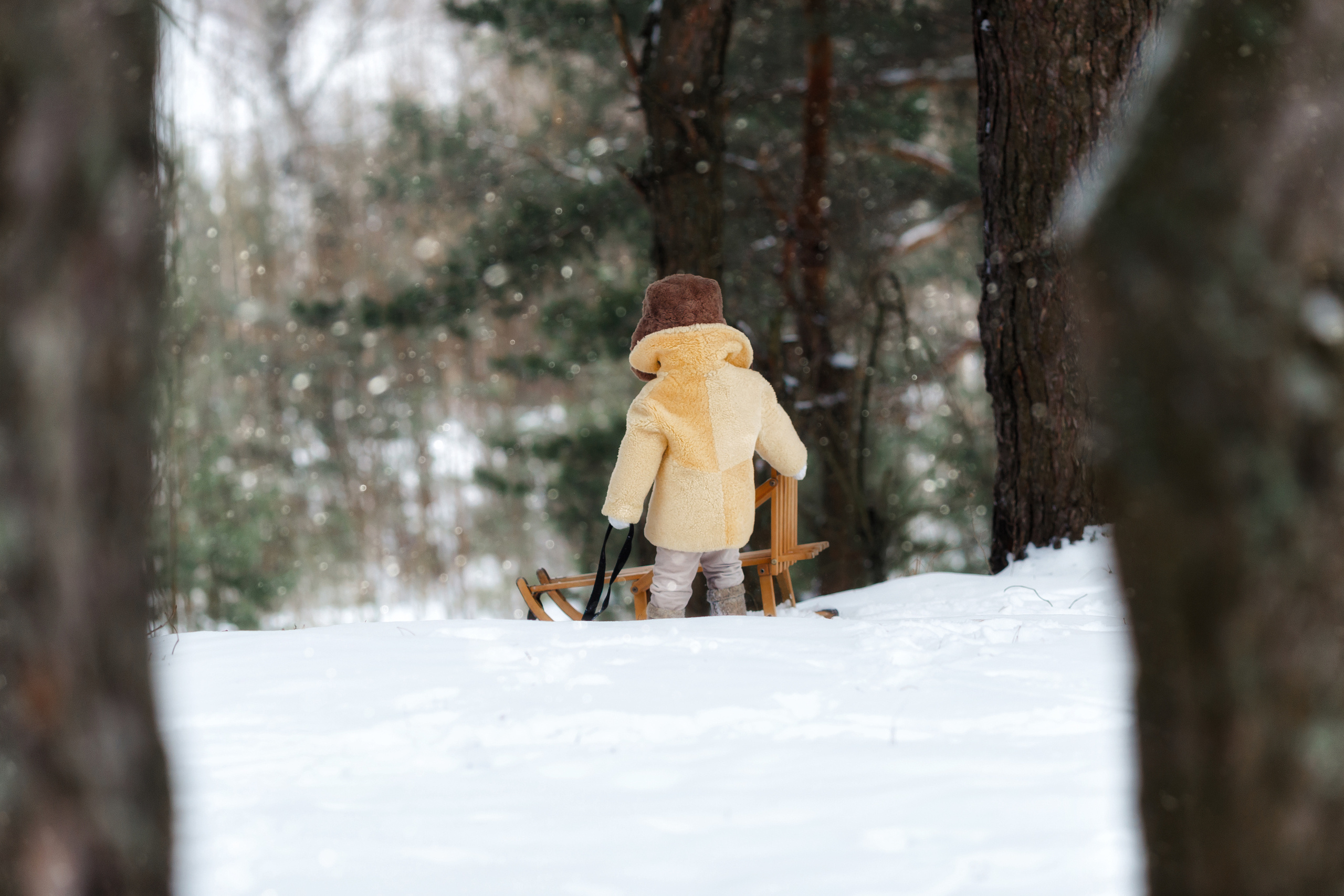 Янчик и его санки. Свадебный и семейный фотограф Витебск, Минск, Андрей Павлов