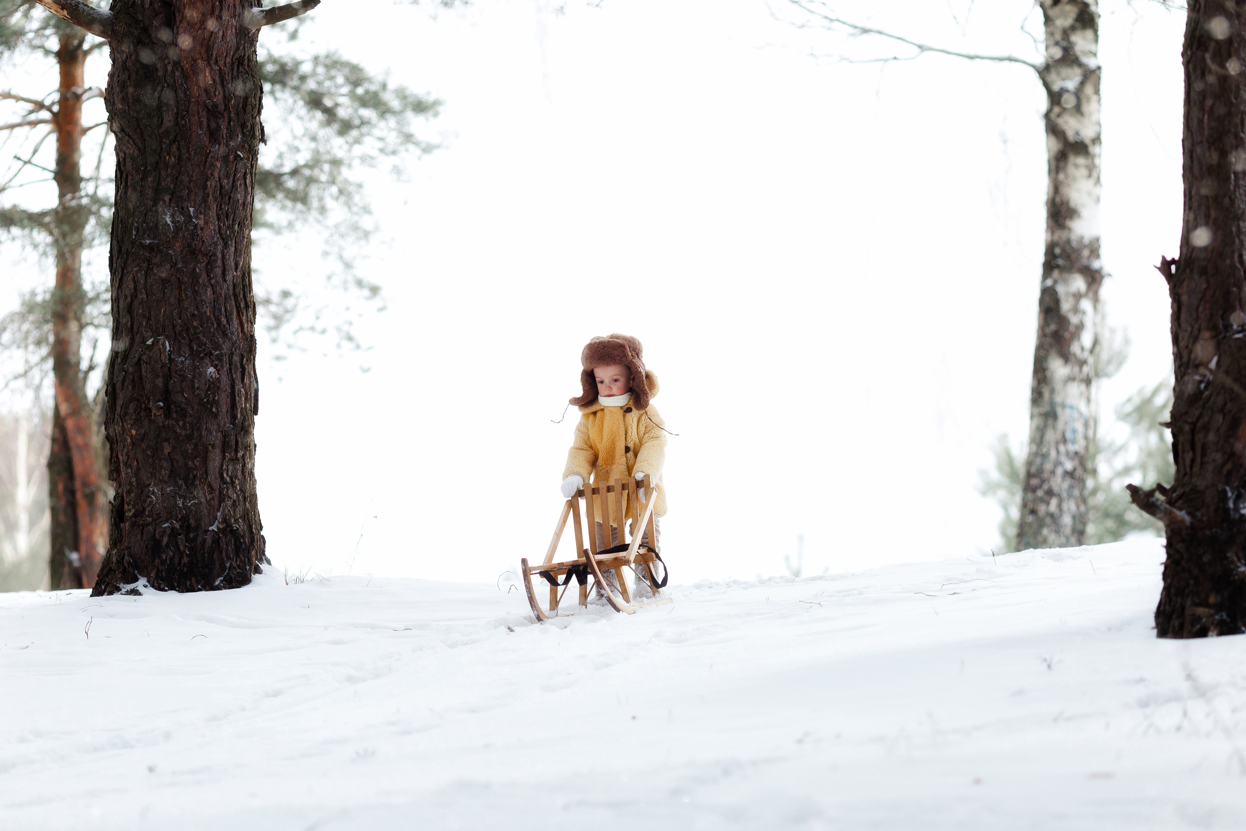 Янчик и его санки. Свадебный и семейный фотограф Витебск, Минск, Андрей Павлов