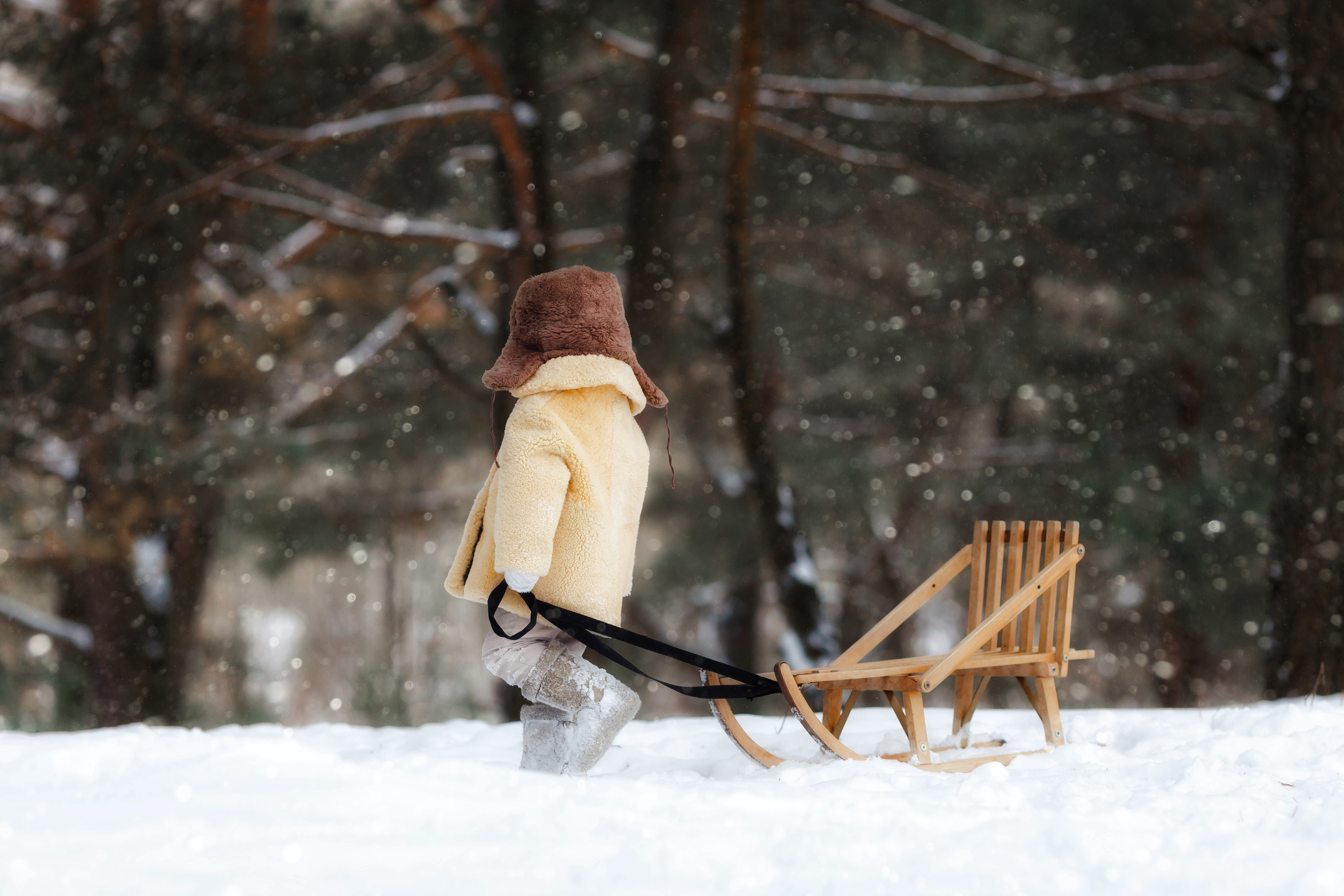 Янчик и его санки. Свадебный и семейный фотограф Витебск, Минск, Андрей Павлов