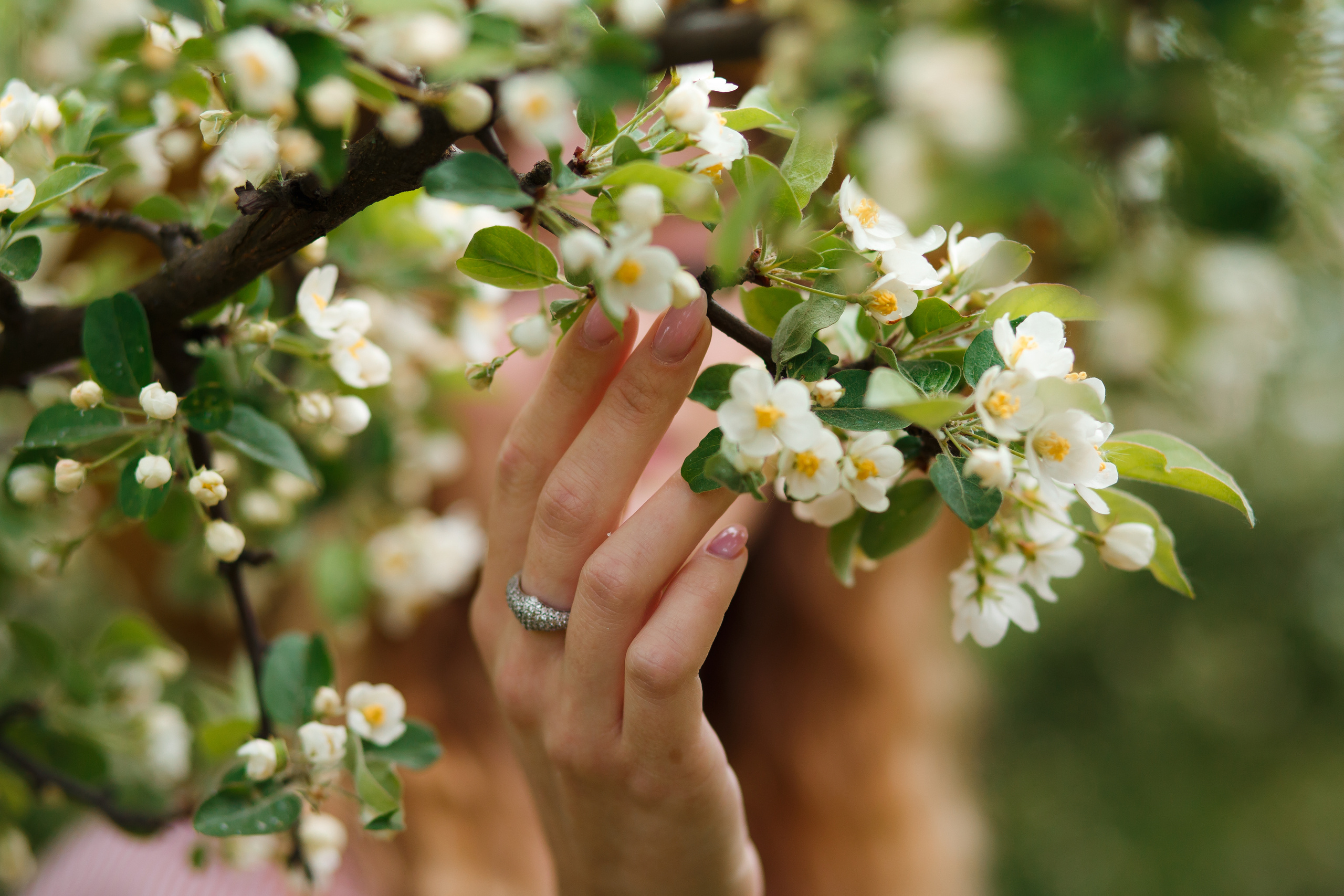 Фотосессия с Настей по цветущим садам. Свадебный и семейный фотограф Витебск, Минск, Андрей Павлов