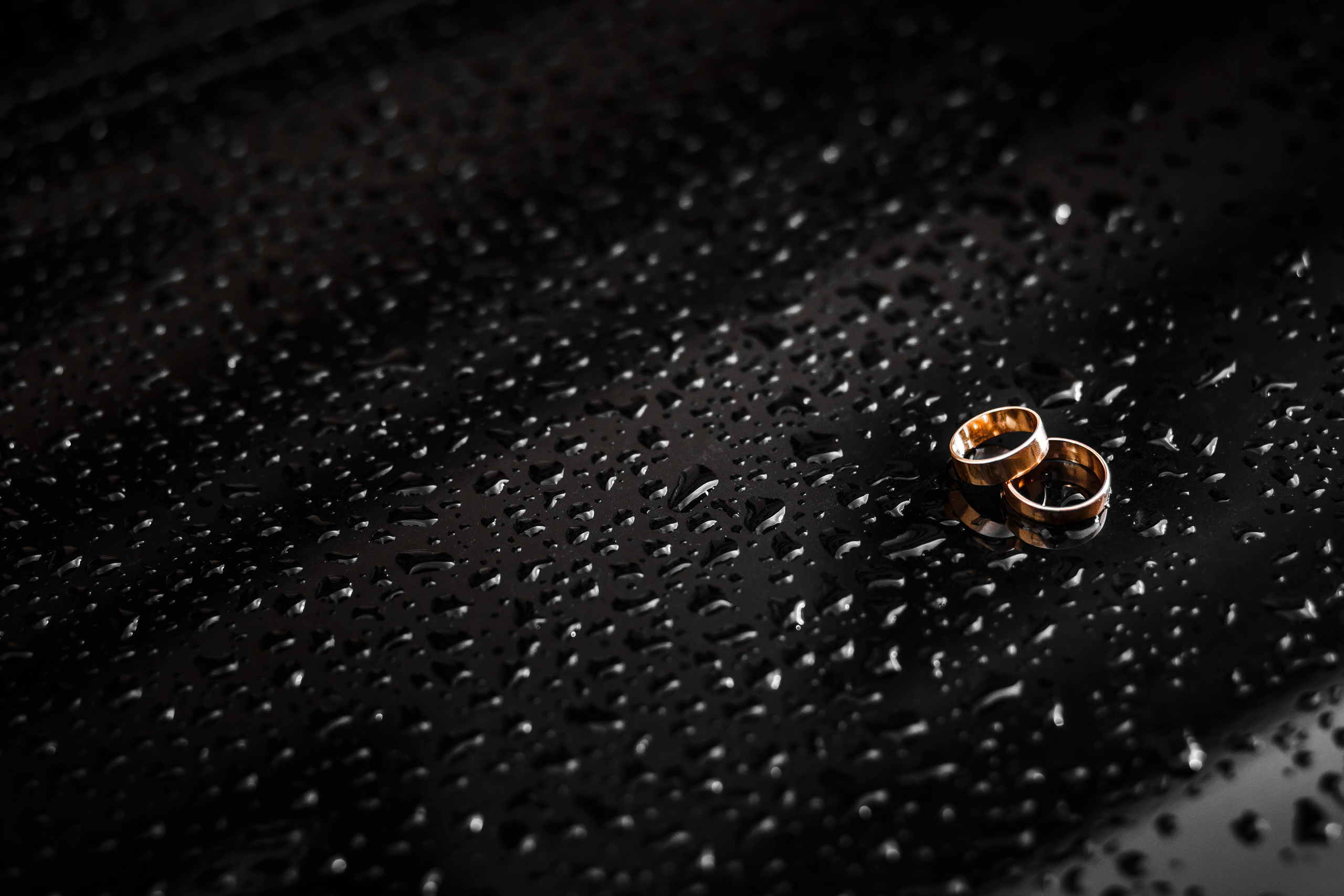 Свадебный и семейный фотограф Витебск, Минск, Андрей Павлов